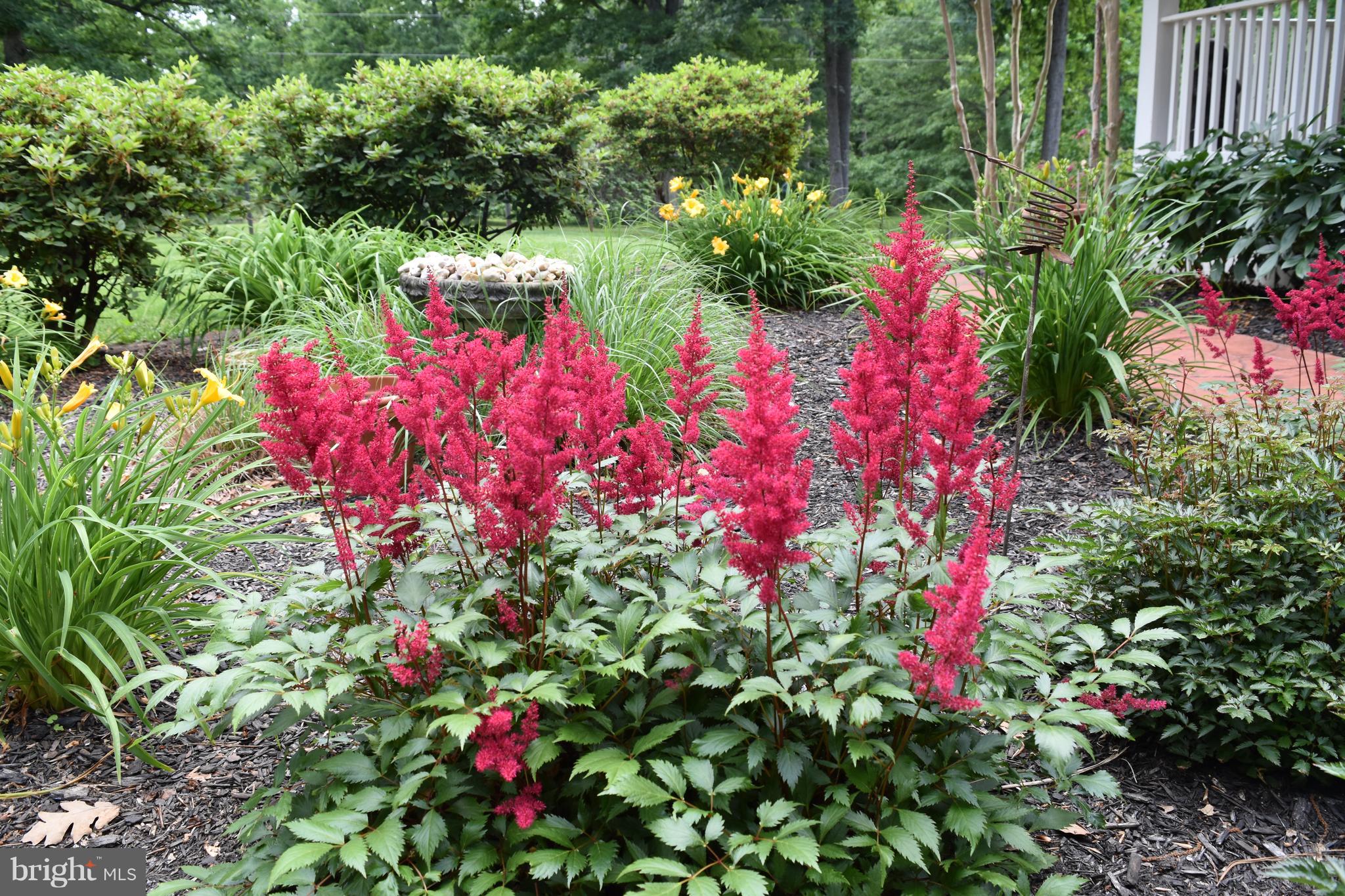 4025 Log Cabin Road Catlett, VA 20119 - Photo 10 of 58 Gallery Image 10
