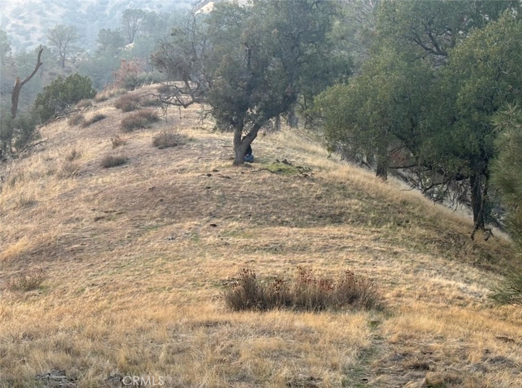 18266 Caliente Creek Road Caliente, CA 93518 - Photo 30 of 39 Top of the Mountain to potentially build a Million Dollar view home