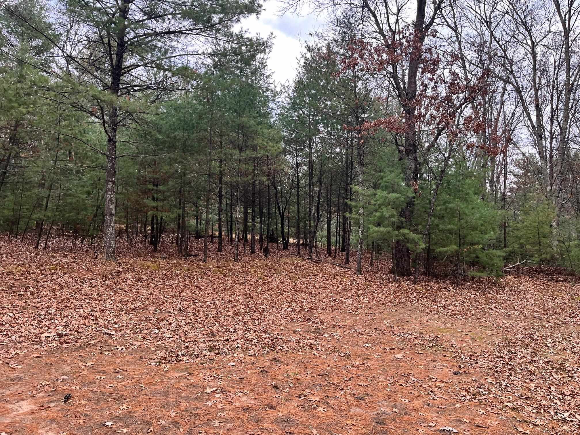 1787 Badger Arkdale, WI 54613 - Photo 11 of 13