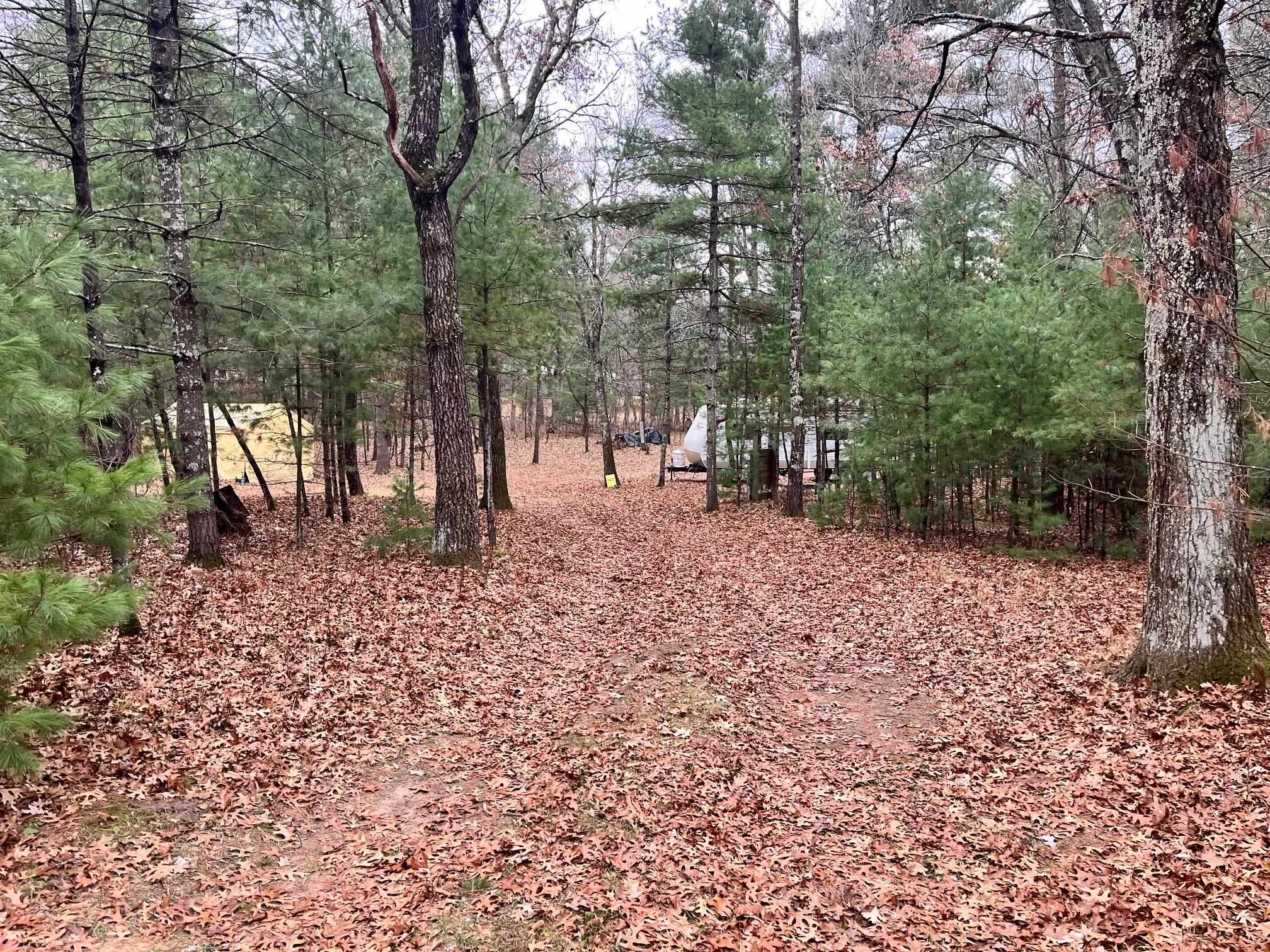 1787 Badger Arkdale, WI 54613 - Photo 3 of 13