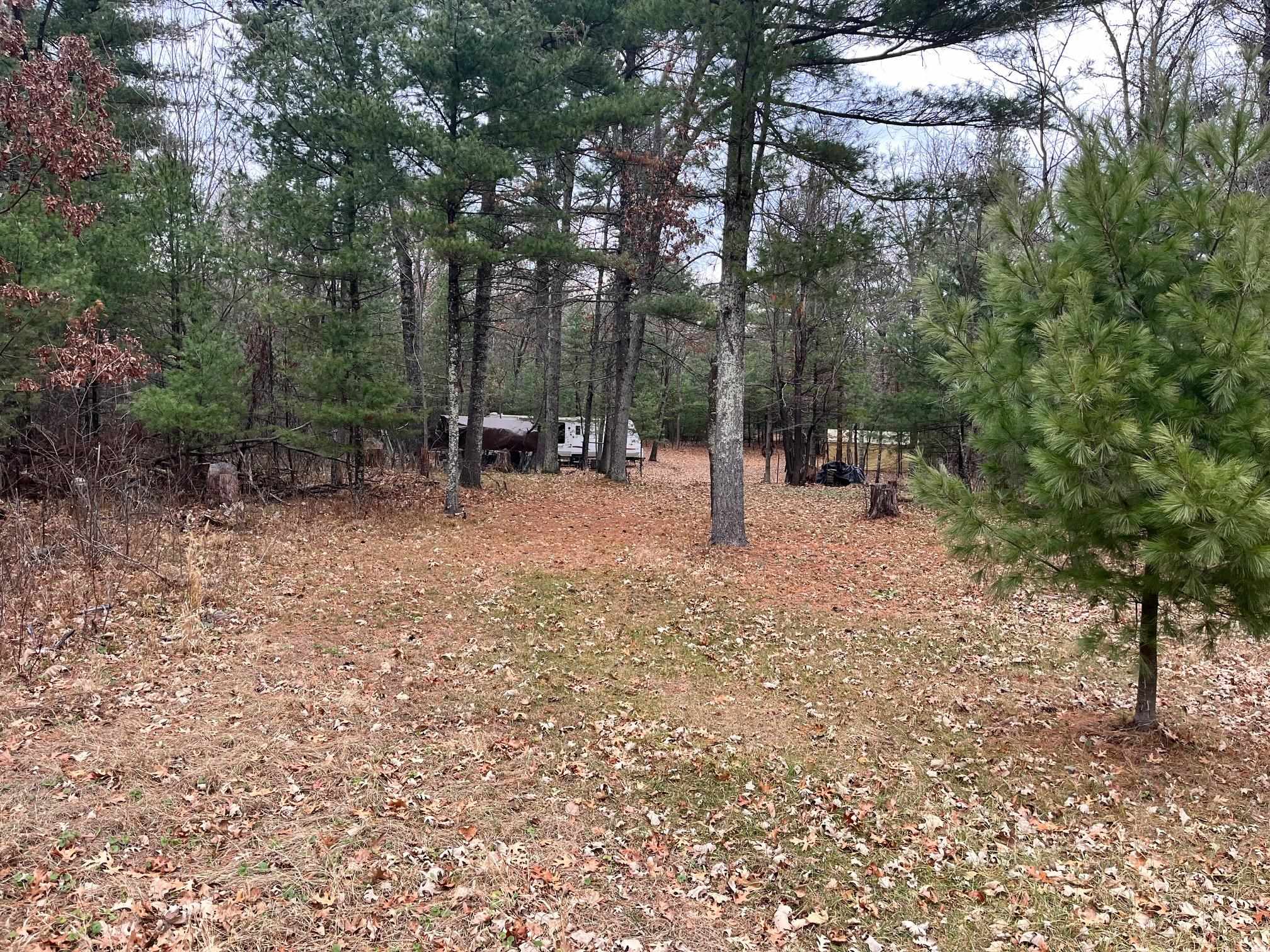 1787 Badger Arkdale, WI 54613 - Photo 9 of 13