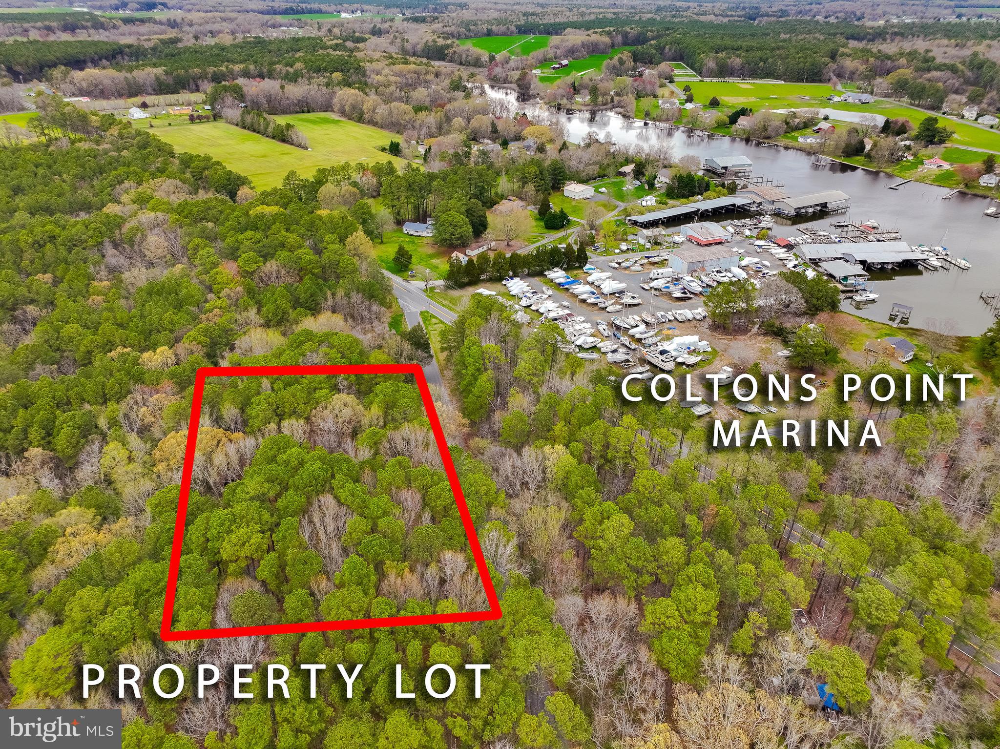 20813 Waterloo Circle Coltons Point, MD 20626 - Photo 2 of 7