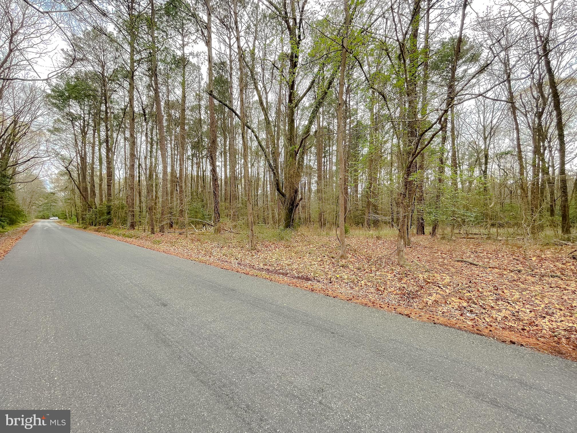 20813 Waterloo Circle Coltons Point, MD 20626 - Photo 4 of 7