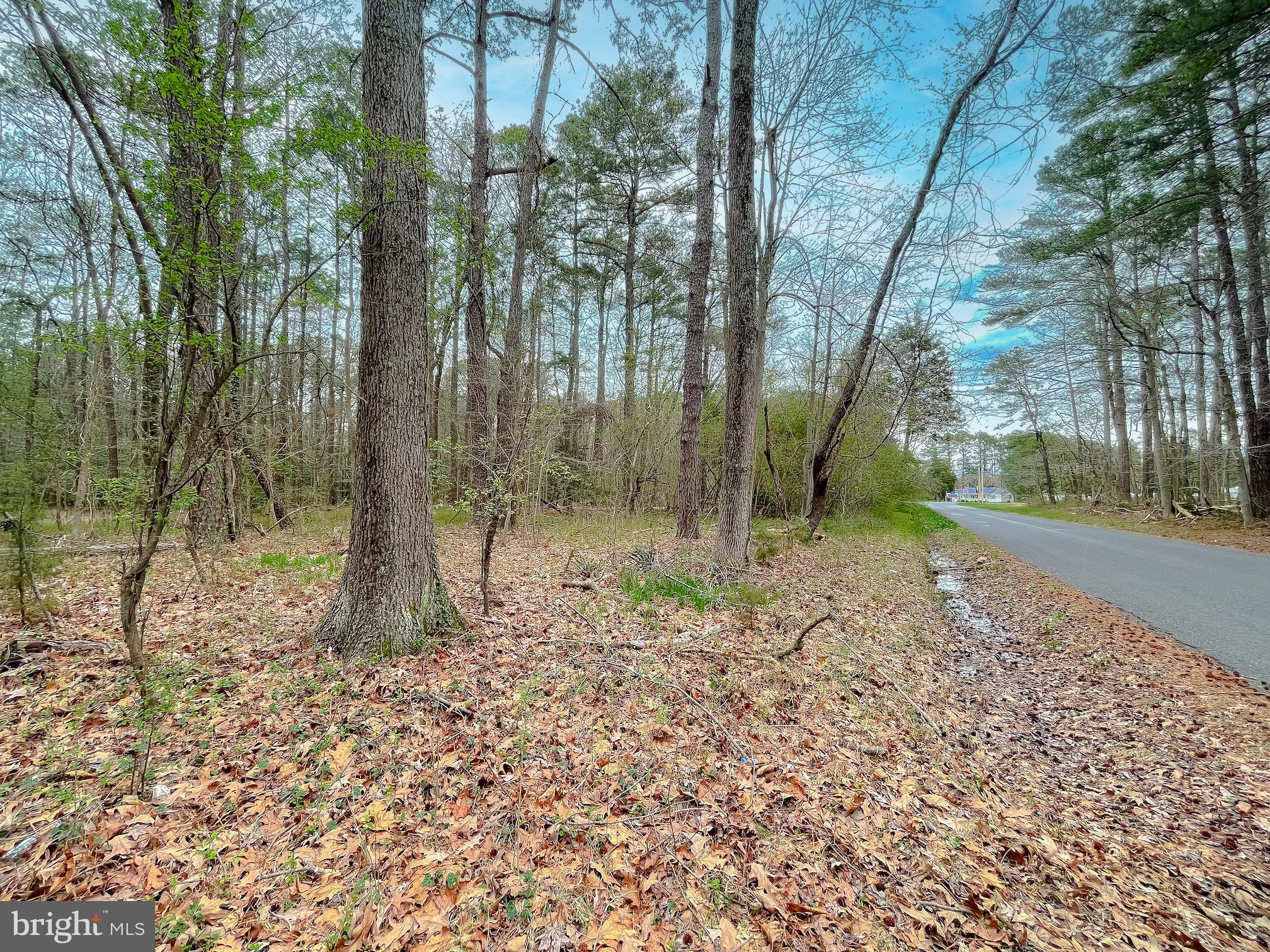 20813 Waterloo Circle Coltons Point, MD 20626 - Photo 5 of 7