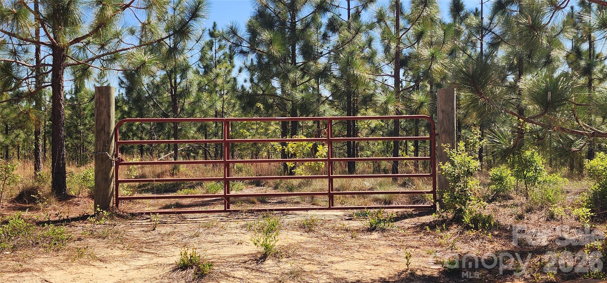 1045 McQueen Road Patrick, SC 29584 - Photo 2 of 32