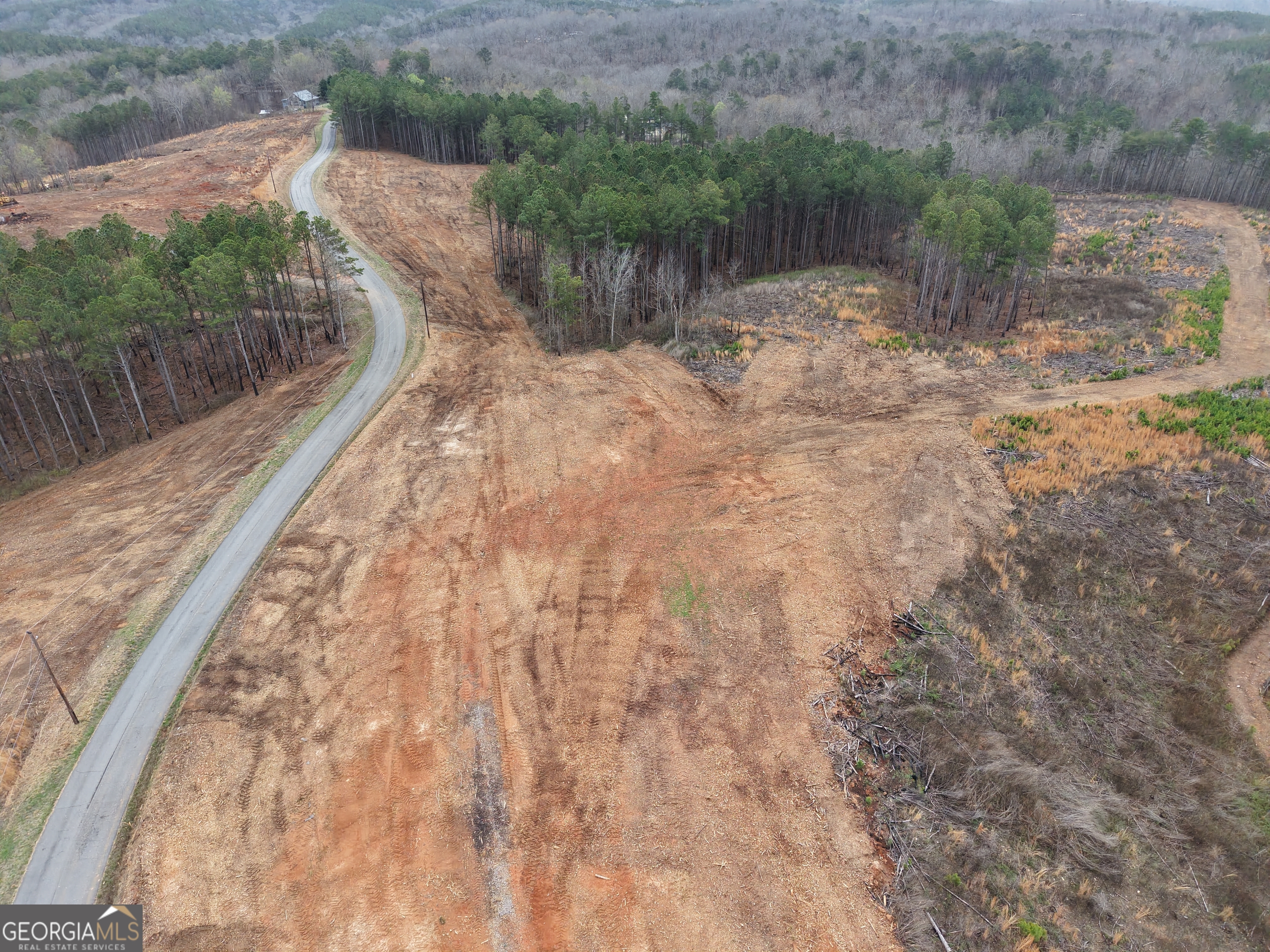 0 Johnson Mountain Road, Unit 7401I Fairmount, GA 30139 - Photo 19 of 76