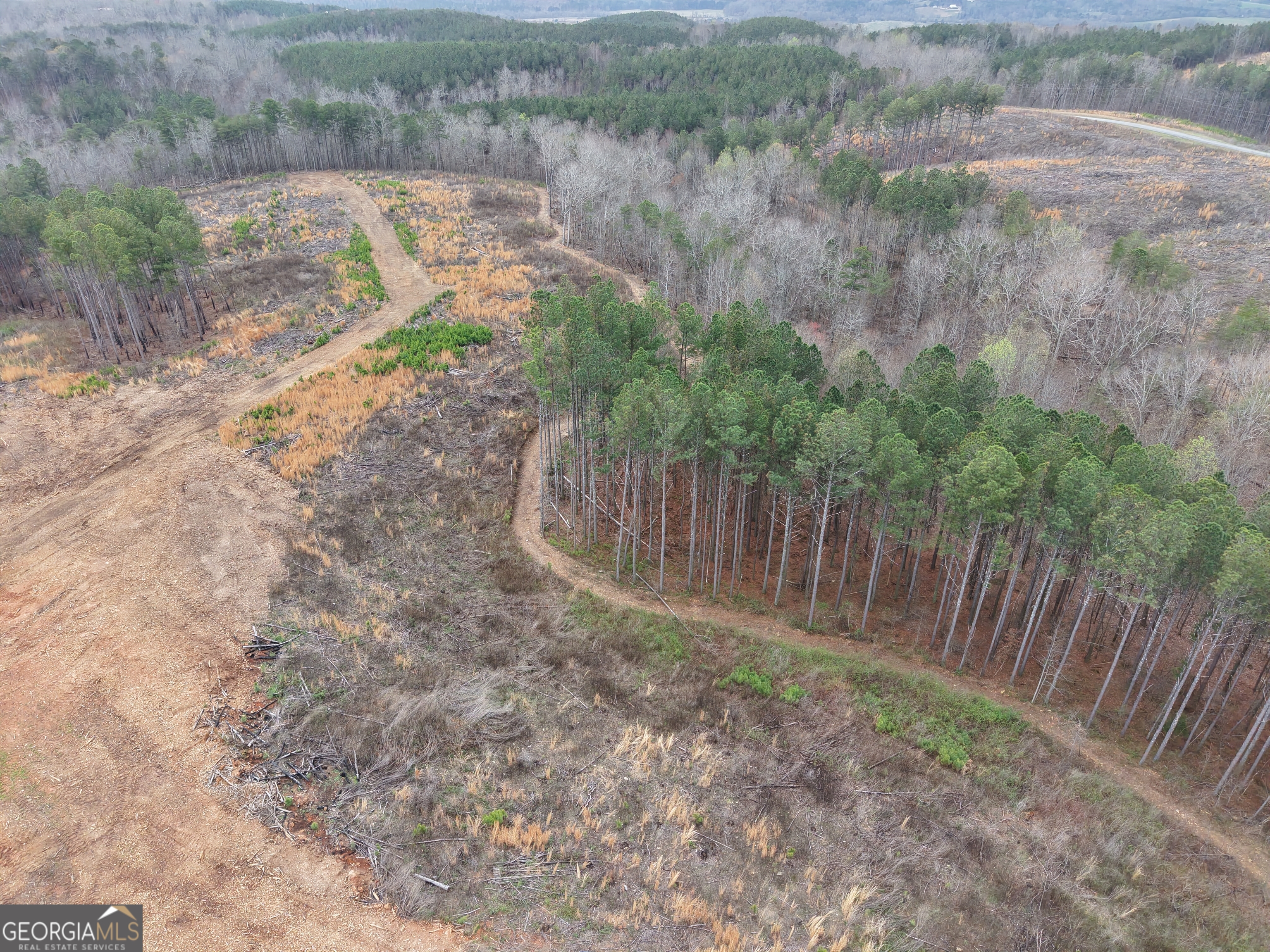 0 Johnson Mountain Road, Unit 7401I Fairmount, GA 30139 - Photo 21 of 76 a view of a yard with wooden fence