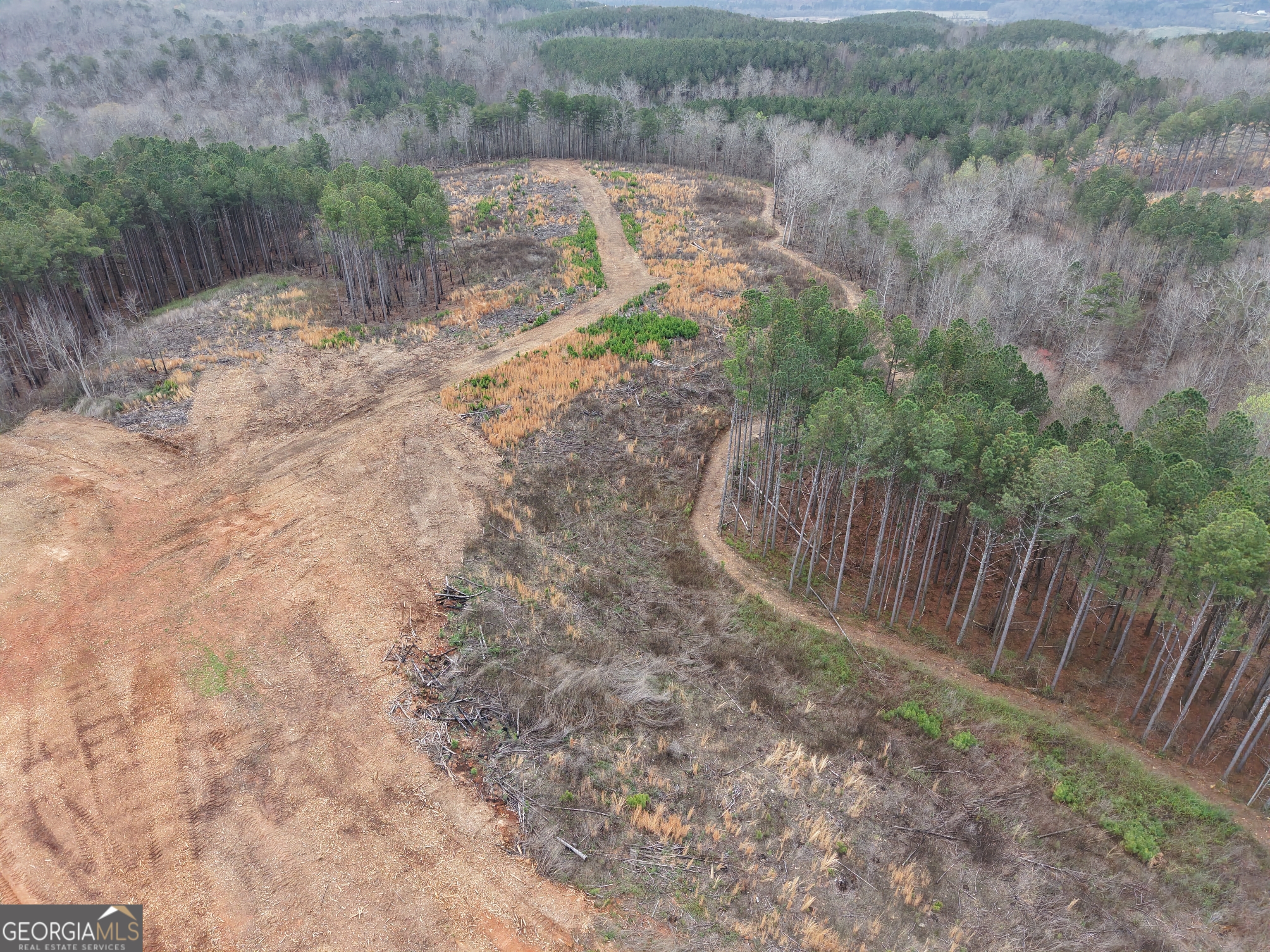 0 Johnson Mountain Road, Unit 7401I Fairmount, GA 30139 - Photo 23 of 76