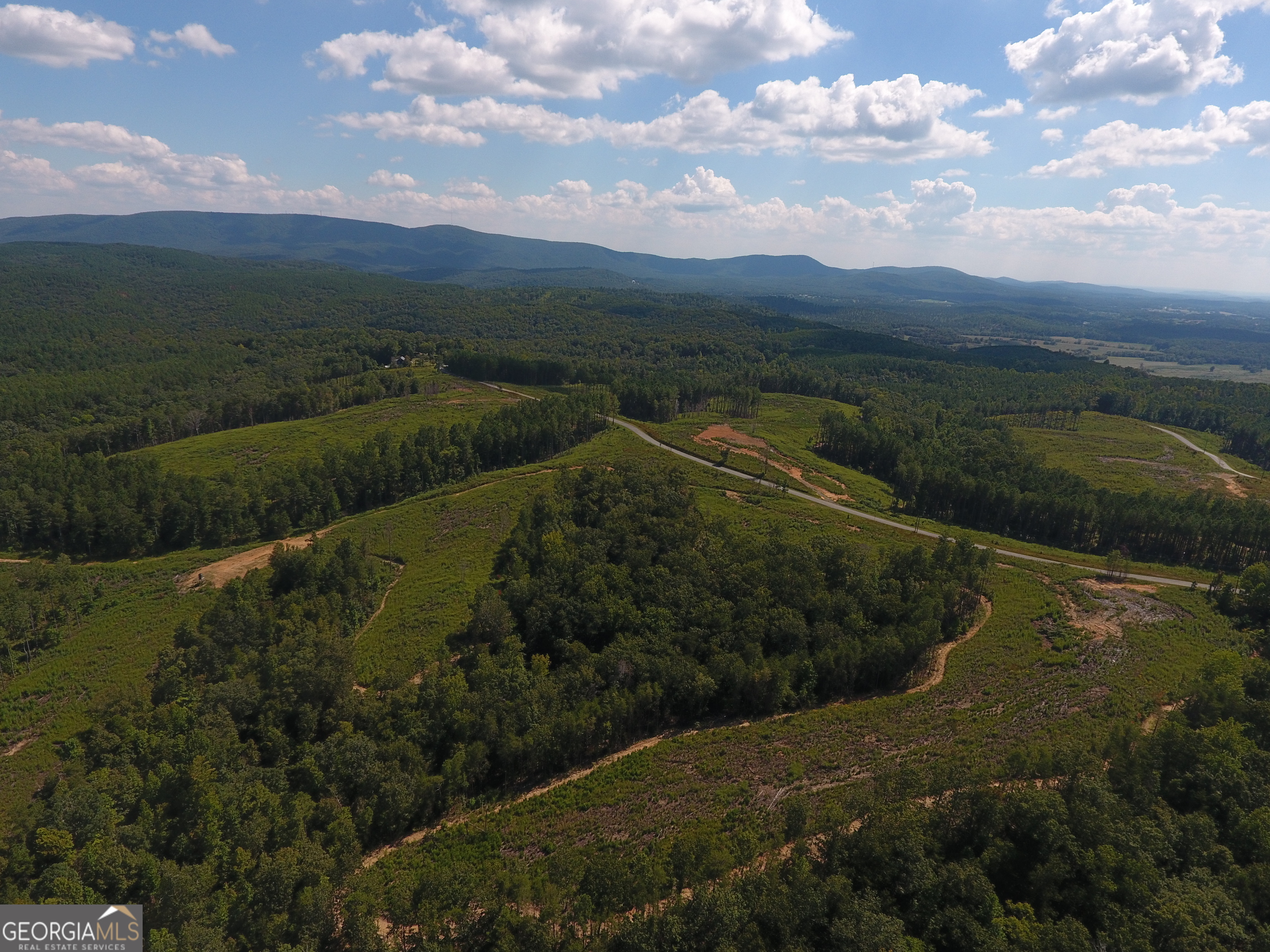 0 Johnson Mountain Road, Unit 7401I Fairmount, GA 30139 - Photo 24 of 76