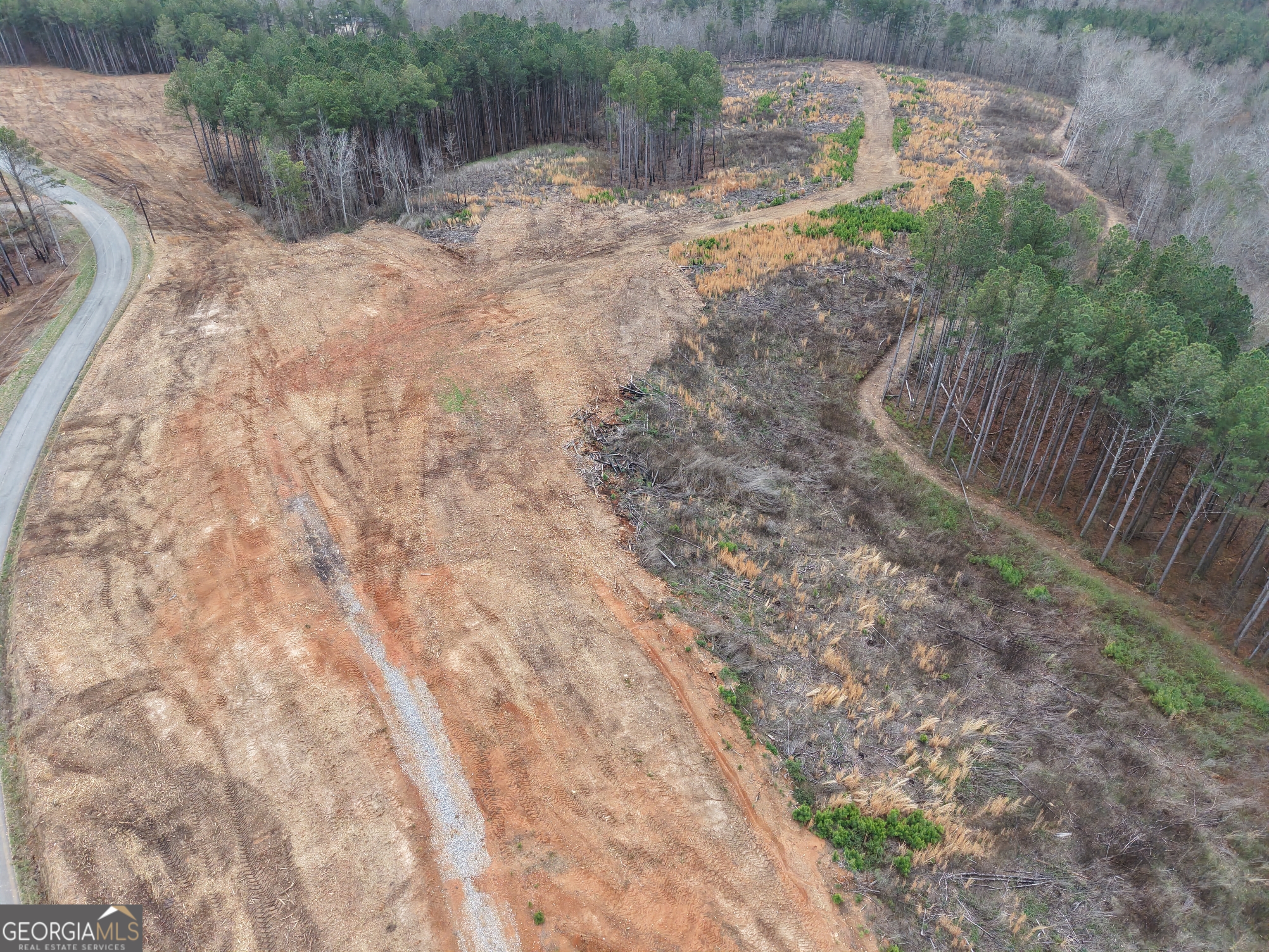 0 Johnson Mountain Road, Unit 7401I Fairmount, GA 30139 - Photo 30 of 76 a backyard of a house with lots of green space