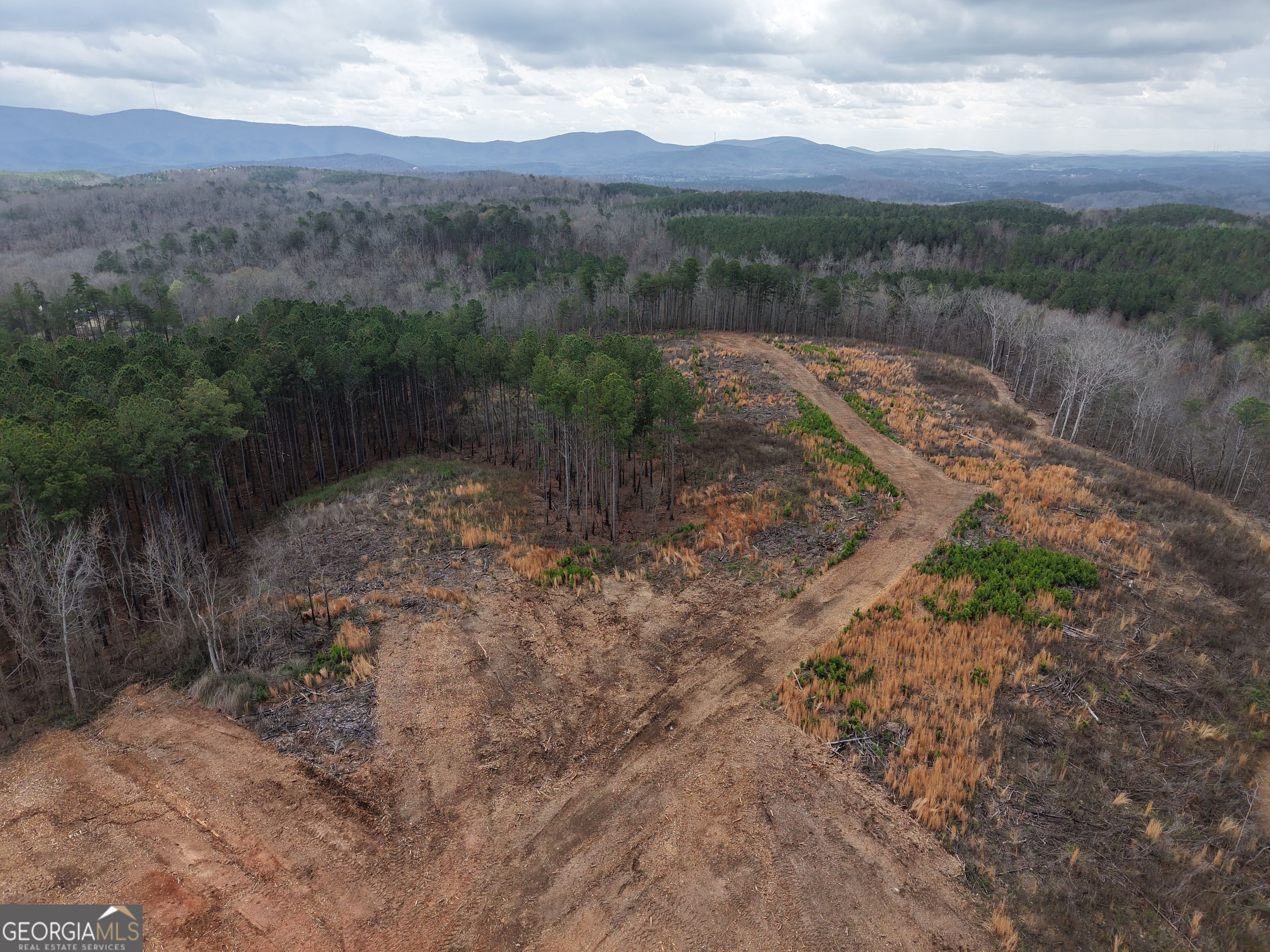 0 Johnson Mountain Road, Unit 7401I Fairmount, GA 30139 - Photo 32 of 76 a view of a lake with mountains in the background
