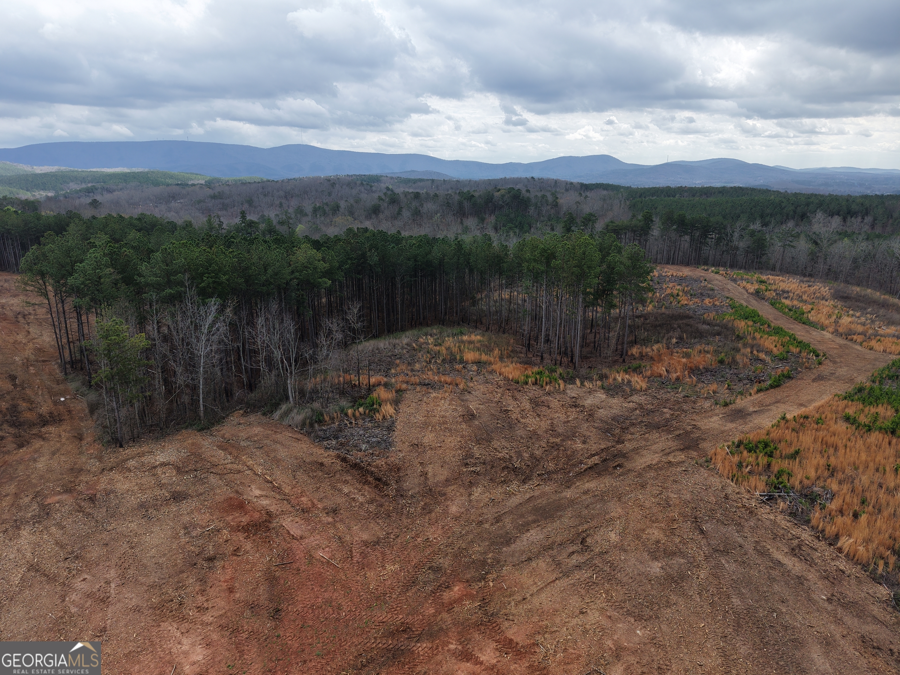 0 Johnson Mountain Road, Unit 7401I Fairmount, GA 30139 - Photo 34 of 76 a view of a lake with mountains in the background