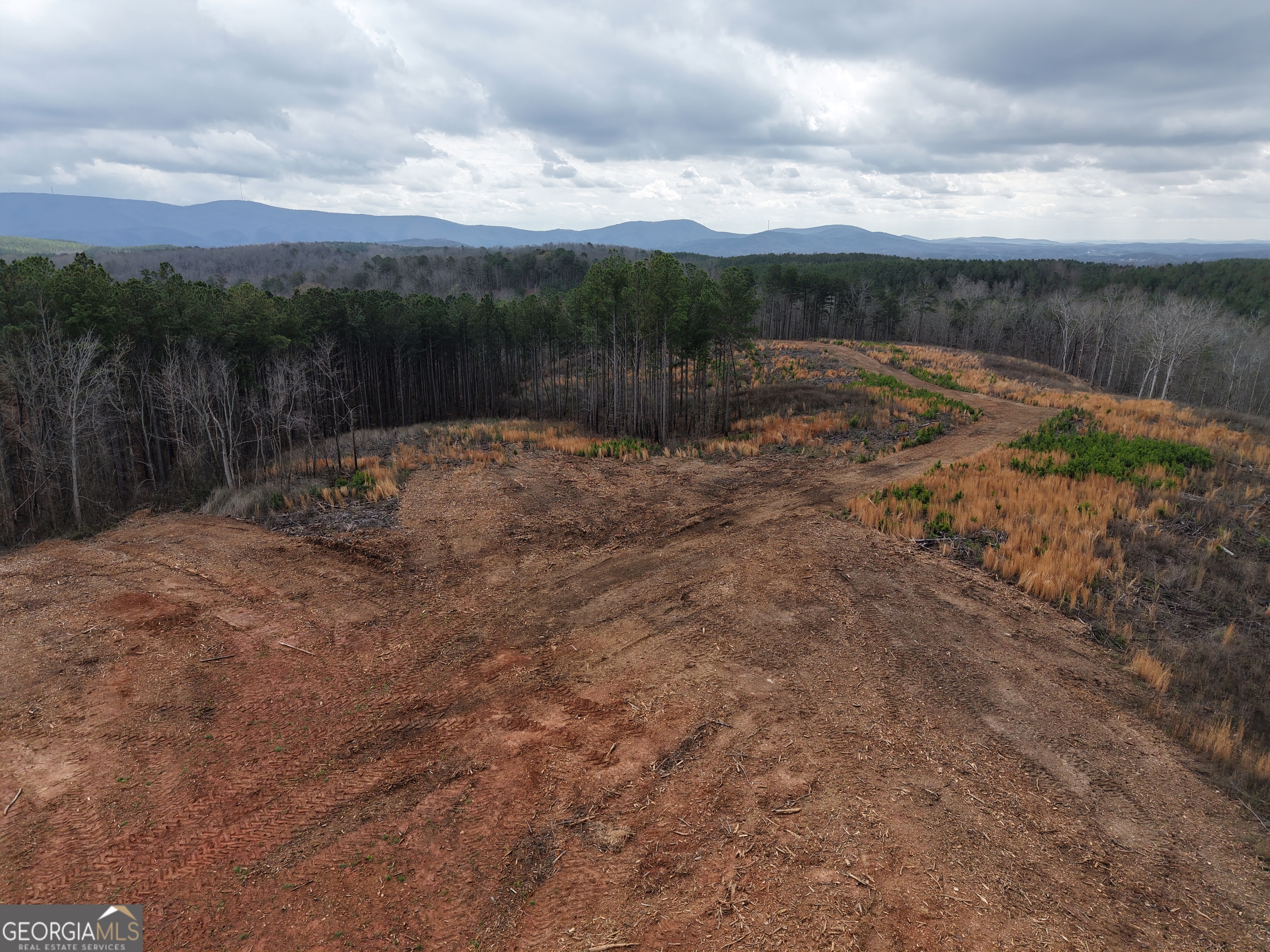 0 Johnson Mountain Road, Unit 7401I Fairmount, GA 30139 - Photo 36 of 76