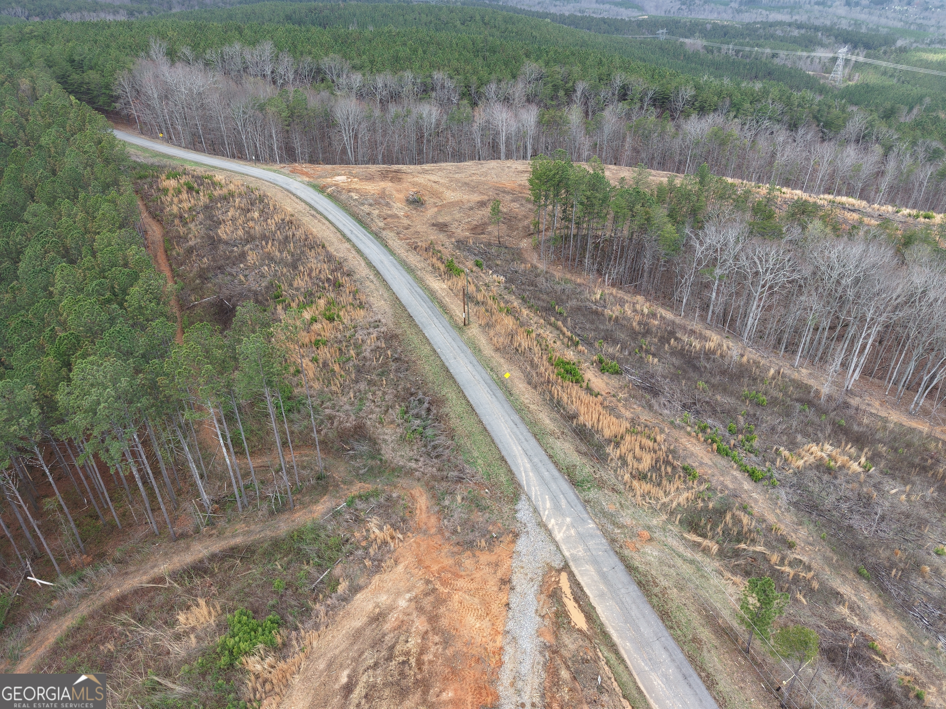 0 Johnson Mountain Road, Unit 7401I Fairmount, GA 30139 - Photo 37 of 76