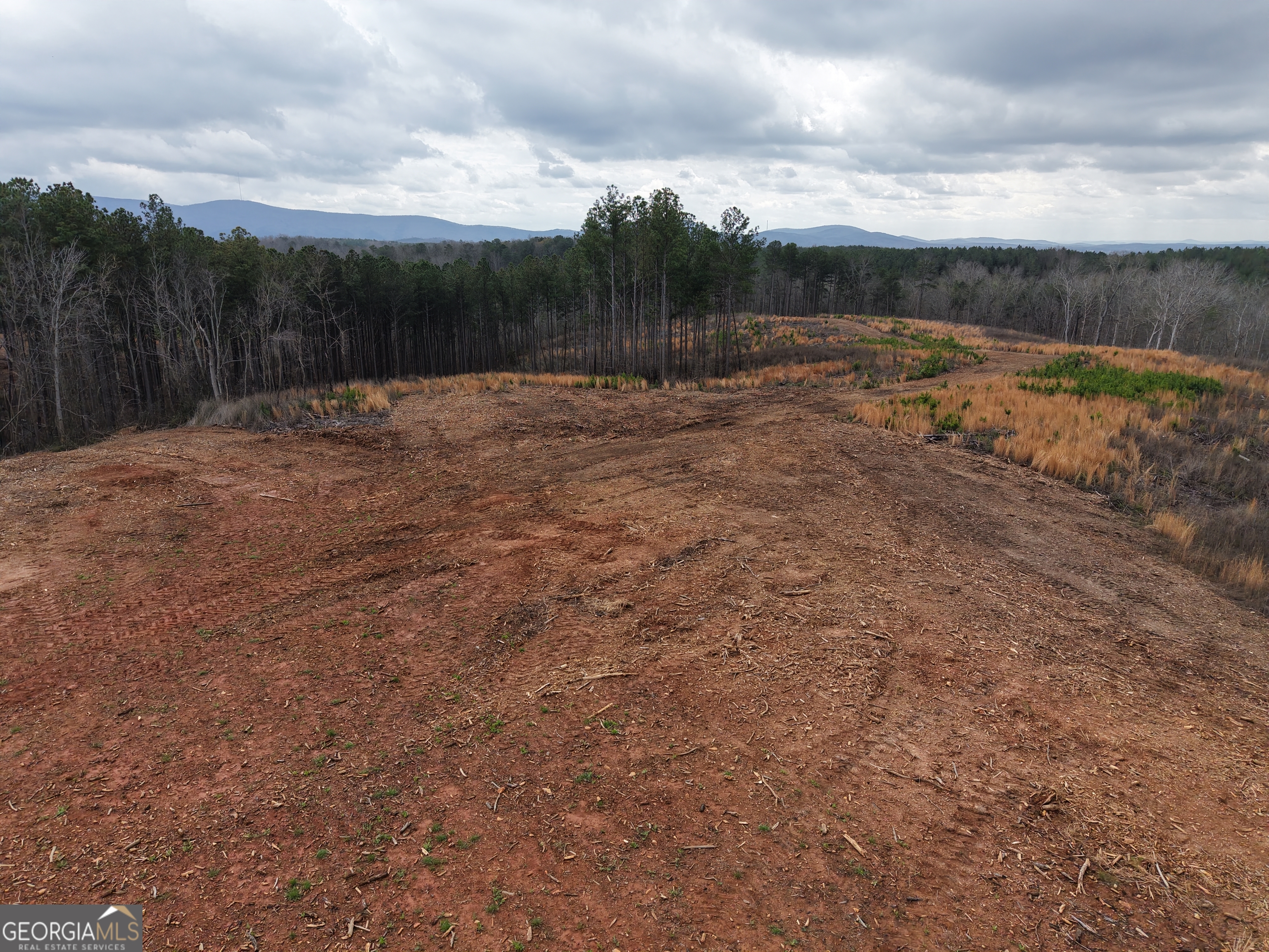 0 Johnson Mountain Road, Unit 7401I Fairmount, GA 30139 - Photo 39 of 76