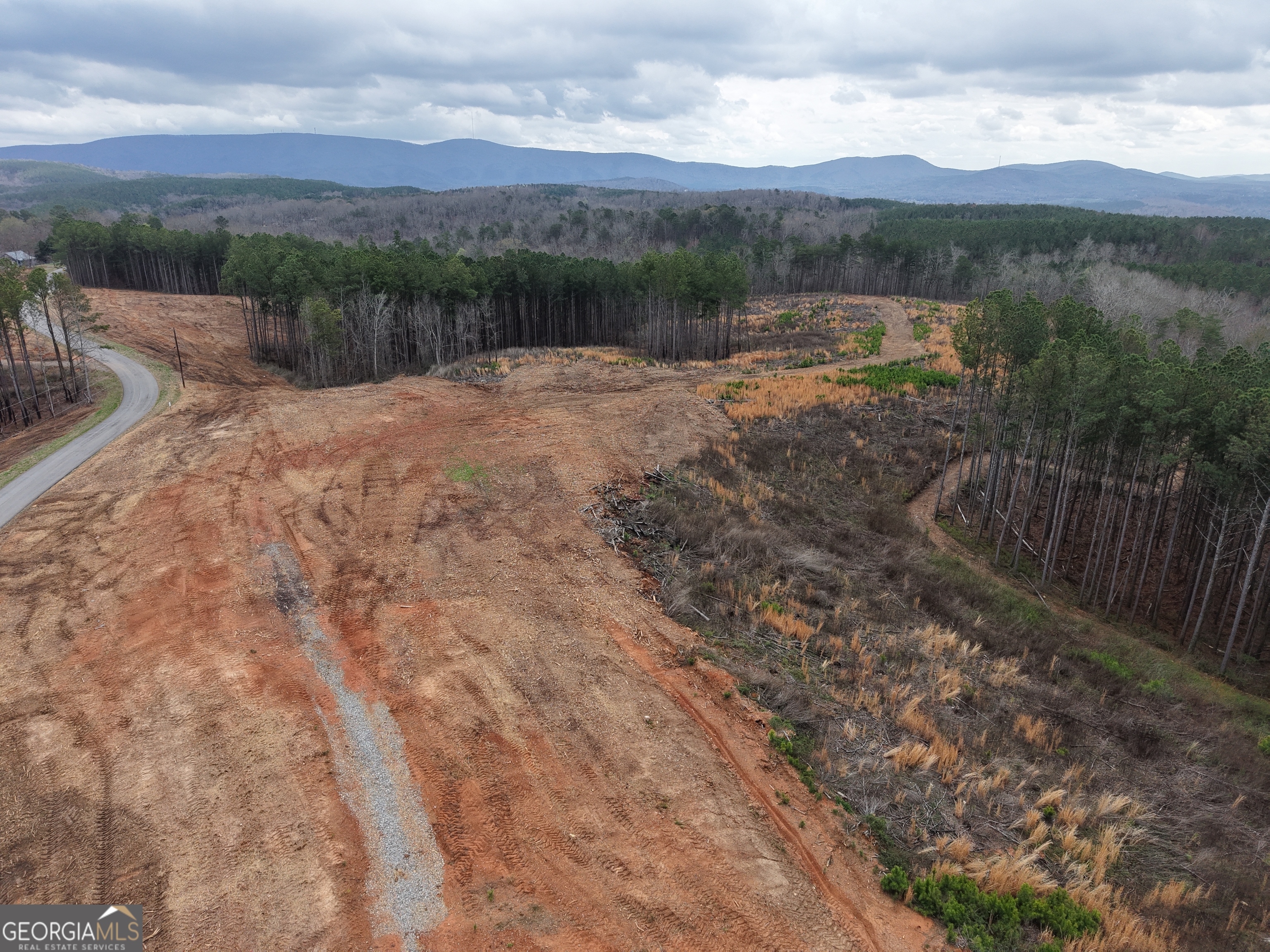 0 Johnson Mountain Road, Unit 7401I Fairmount, GA 30139 - Photo 4 of 76