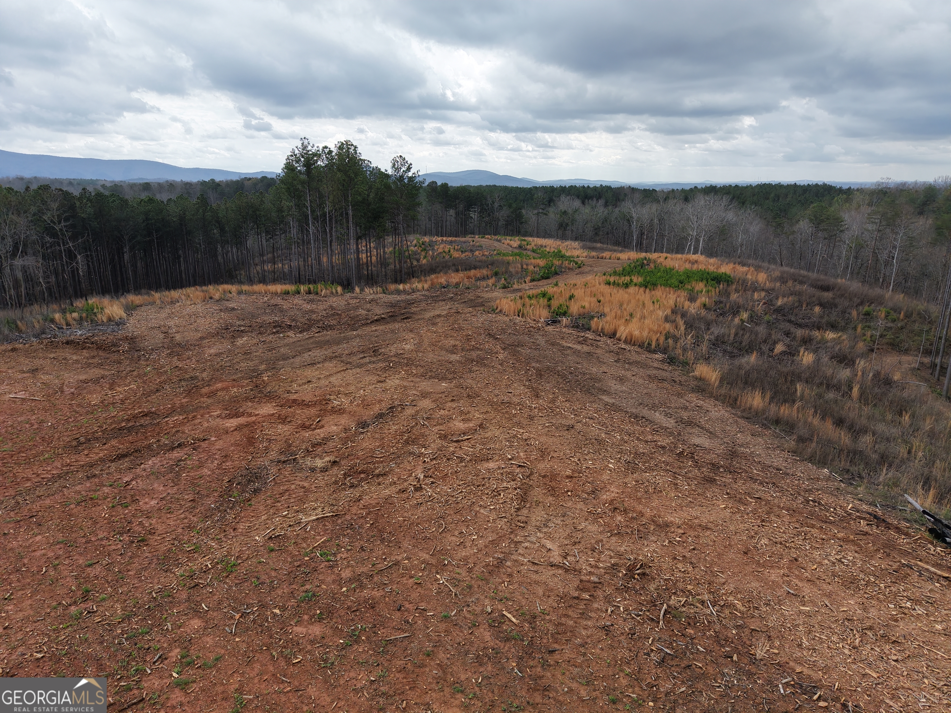 0 Johnson Mountain Road, Unit 7401I Fairmount, GA 30139 - Photo 41 of 76