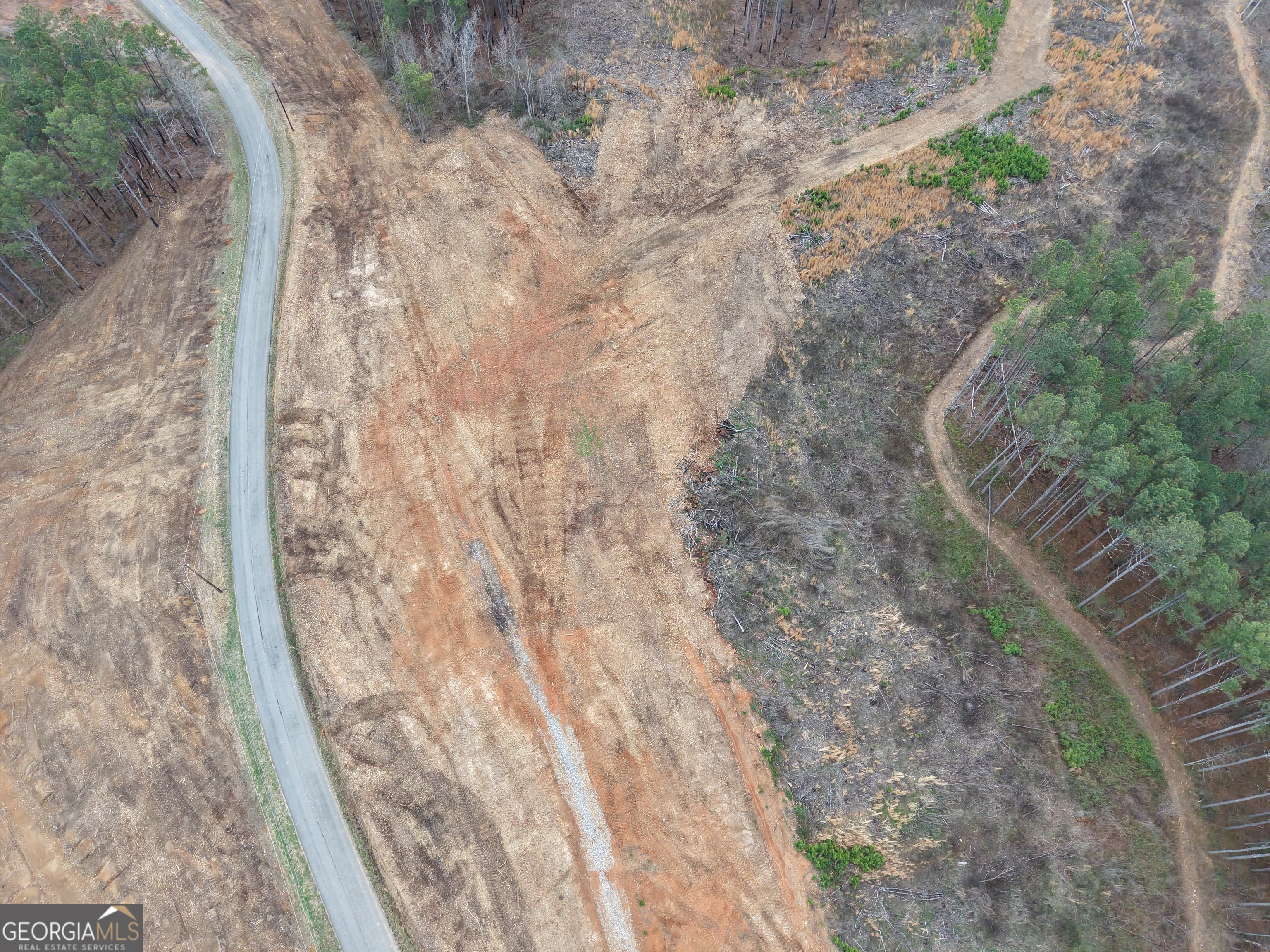 0 Johnson Mountain Road, Unit 7401I Fairmount, GA 30139 - Photo 46 of 76