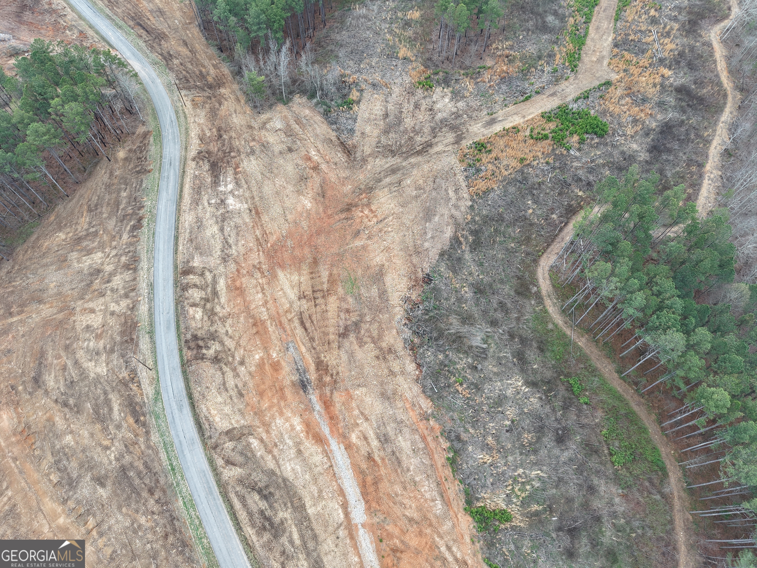 0 Johnson Mountain Road, Unit 7401I Fairmount, GA 30139 - Photo 49 of 76