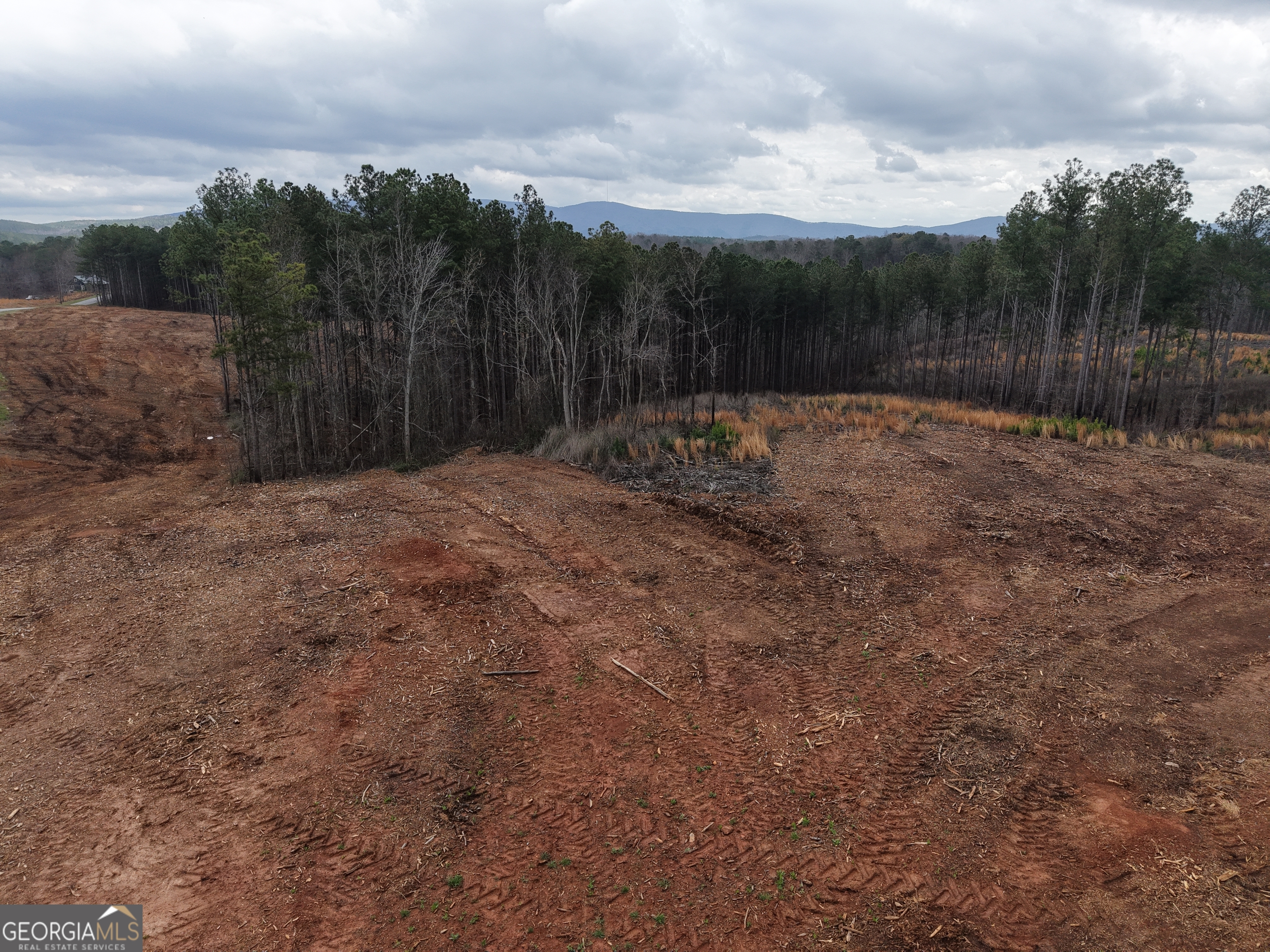 0 Johnson Mountain Road, Unit 7401I Fairmount, GA 30139 - Photo 51 of 76