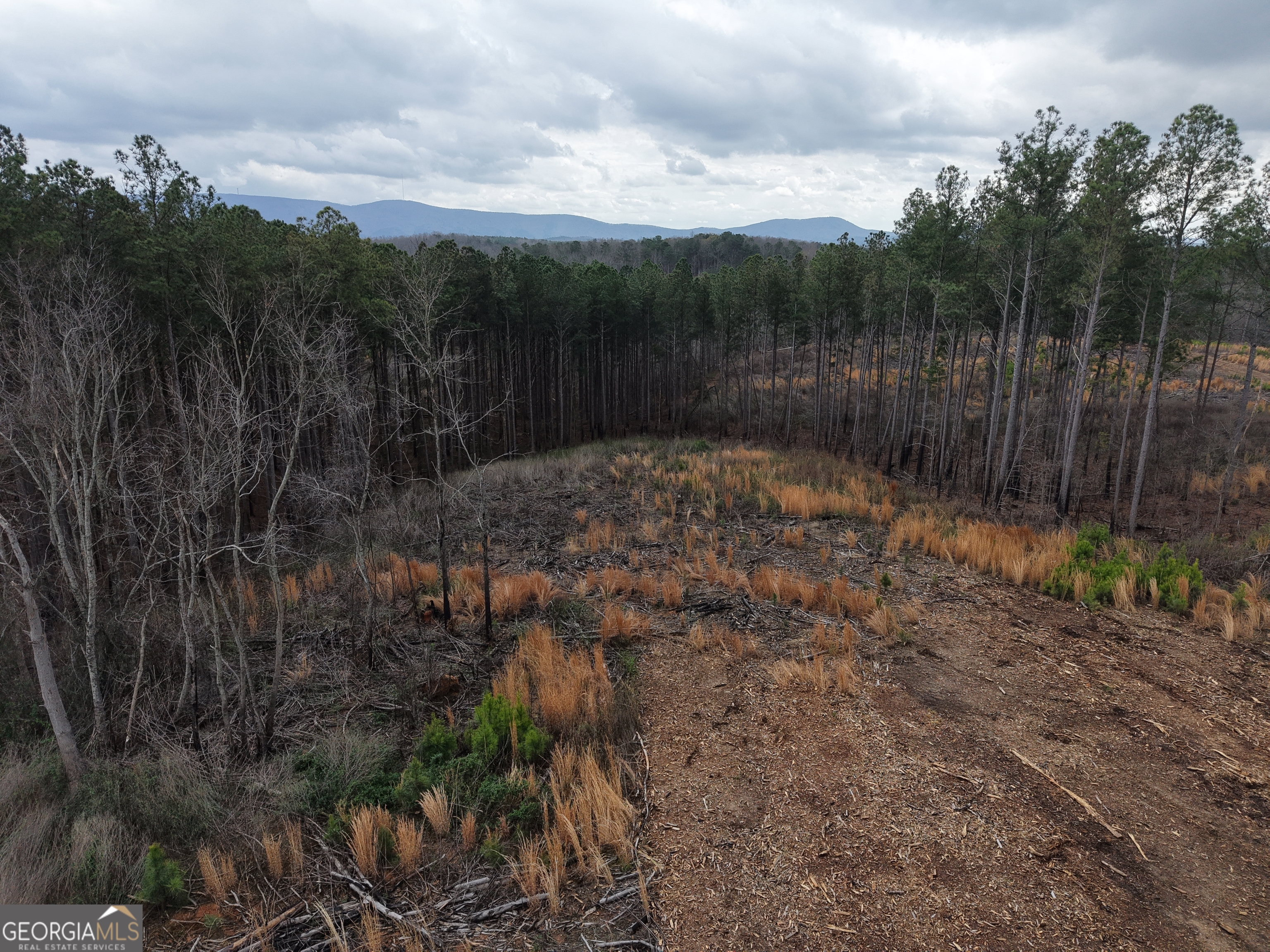 0 Johnson Mountain Road, Unit 7401I Fairmount, GA 30139 - Photo 53 of 76 a view of a backyard