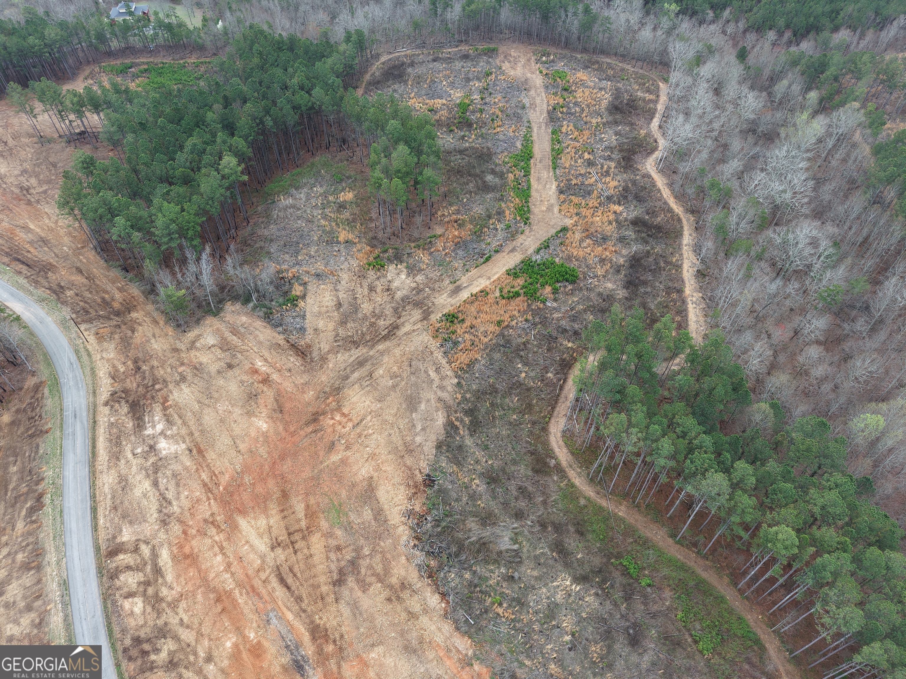 0 Johnson Mountain Road, Unit 7401I Fairmount, GA 30139 - Photo 54 of 76 a view of a forest with large trees