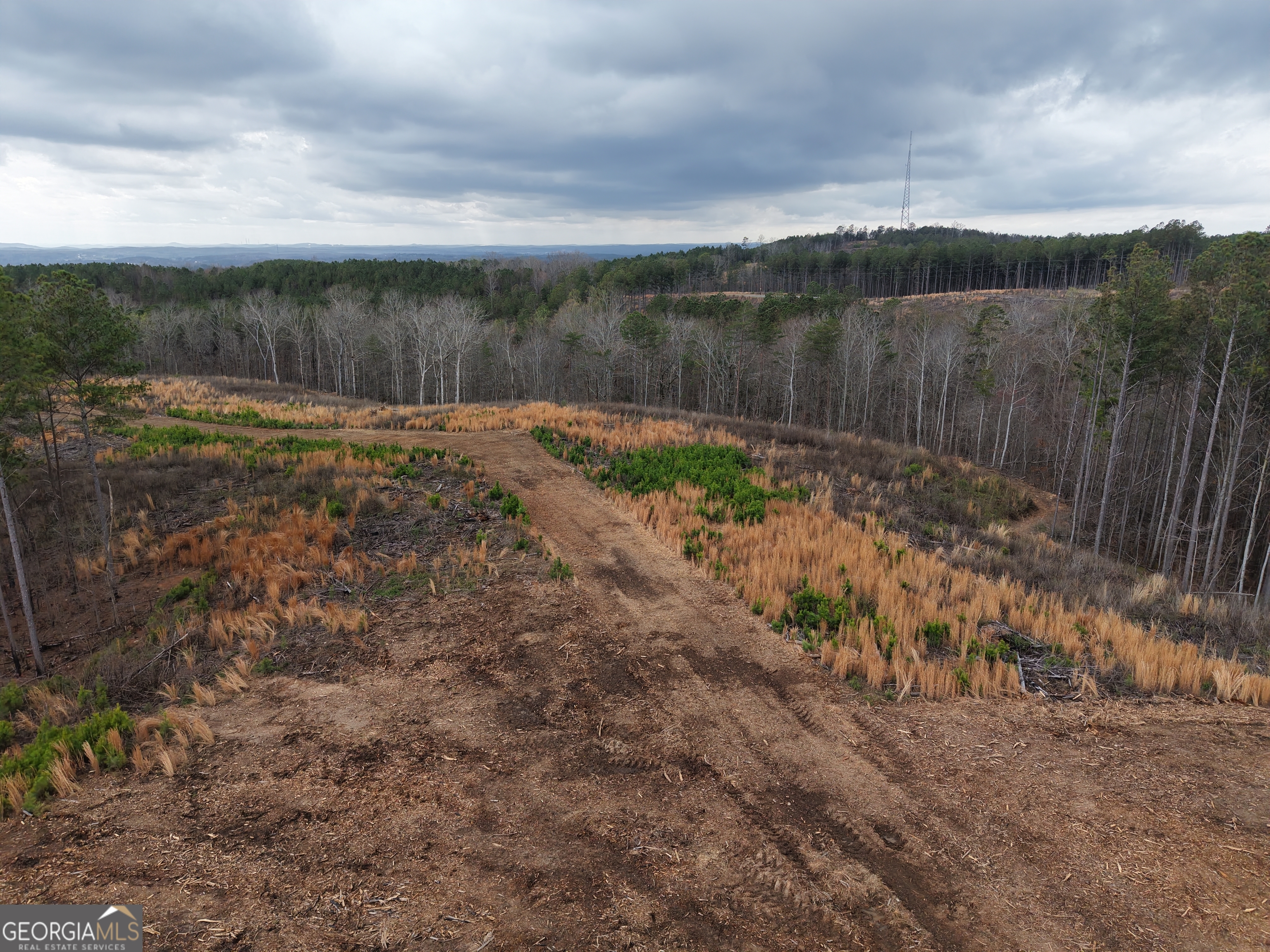 0 Johnson Mountain Road, Unit 7401I Fairmount, GA 30139 - Photo 56 of 76