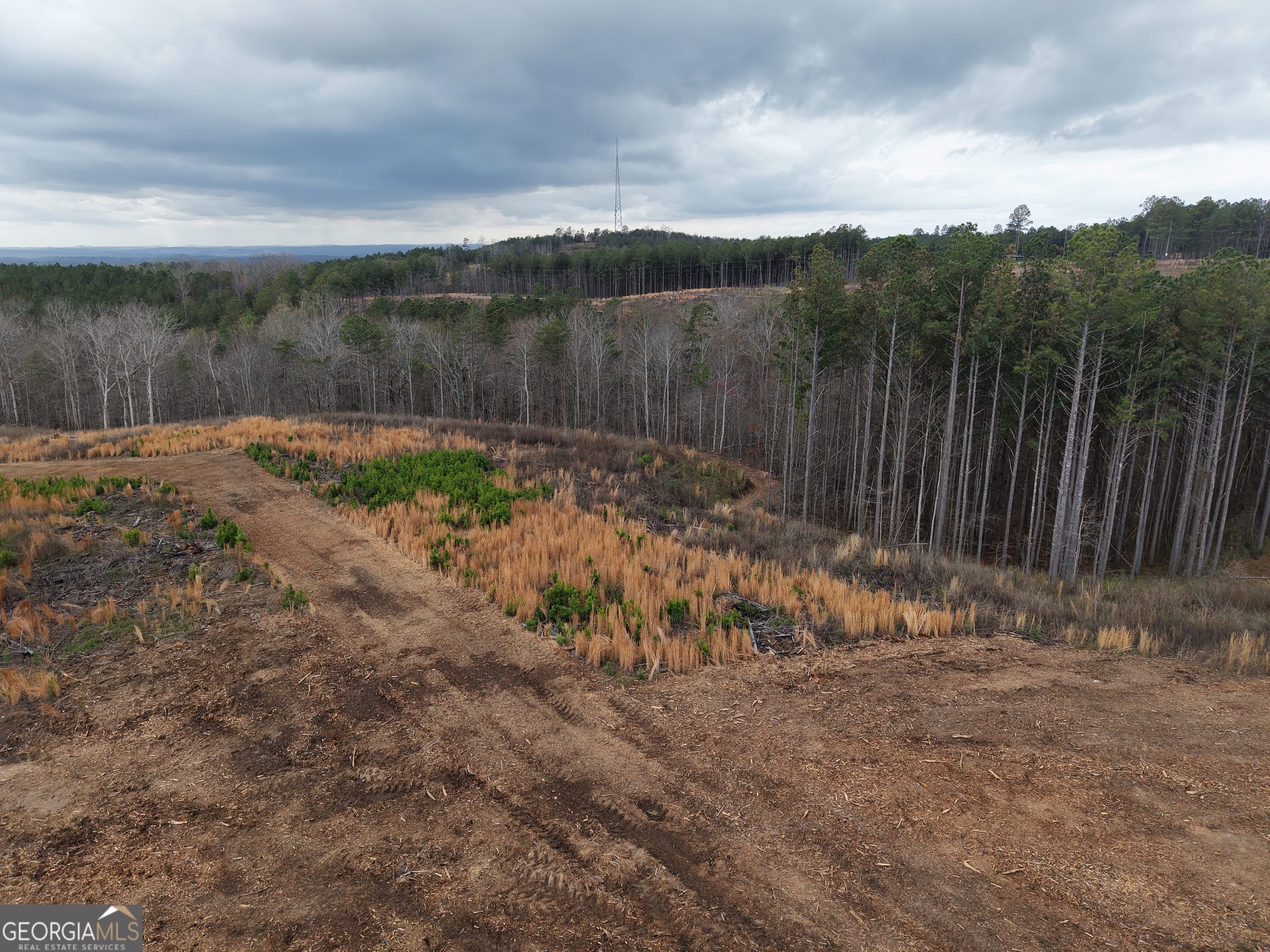 0 Johnson Mountain Road, Unit 7401I Fairmount, GA 30139 - Photo 58 of 76