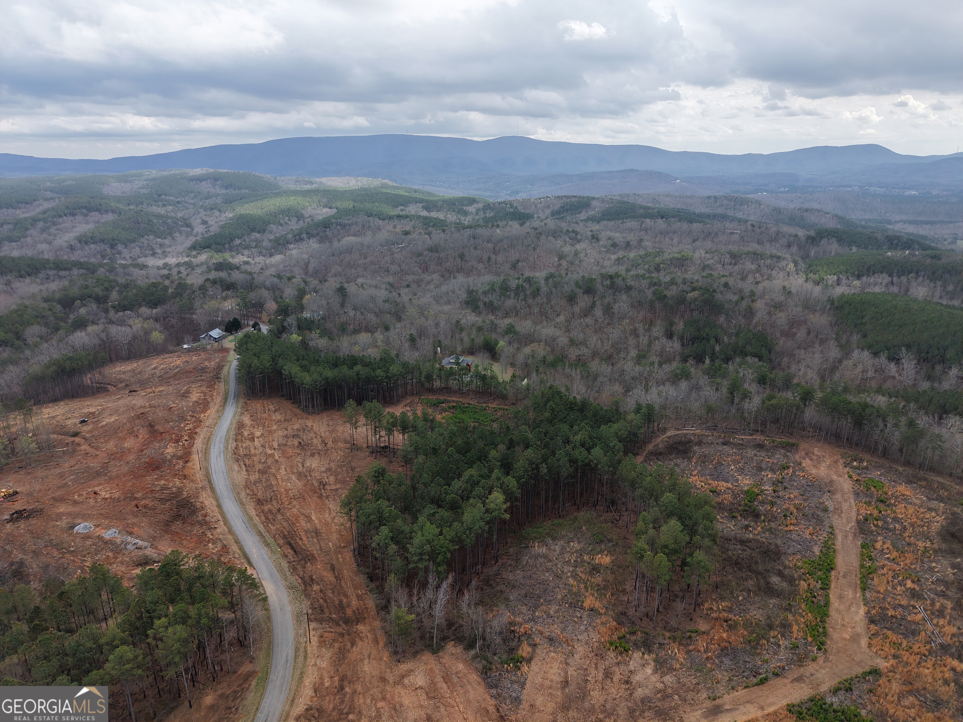 0 Johnson Mountain Road, Unit 7401I Fairmount, GA 30139 - Photo 59 of 76 a view of a city with lush green forest