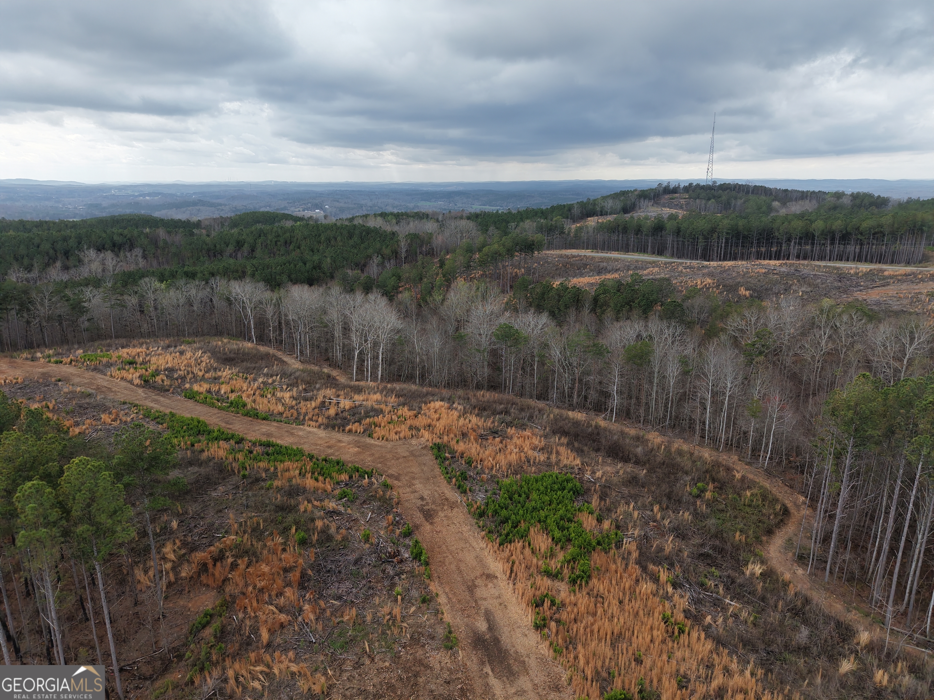 0 Johnson Mountain Road, Unit 7401I Fairmount, GA 30139 - Photo 61 of 76