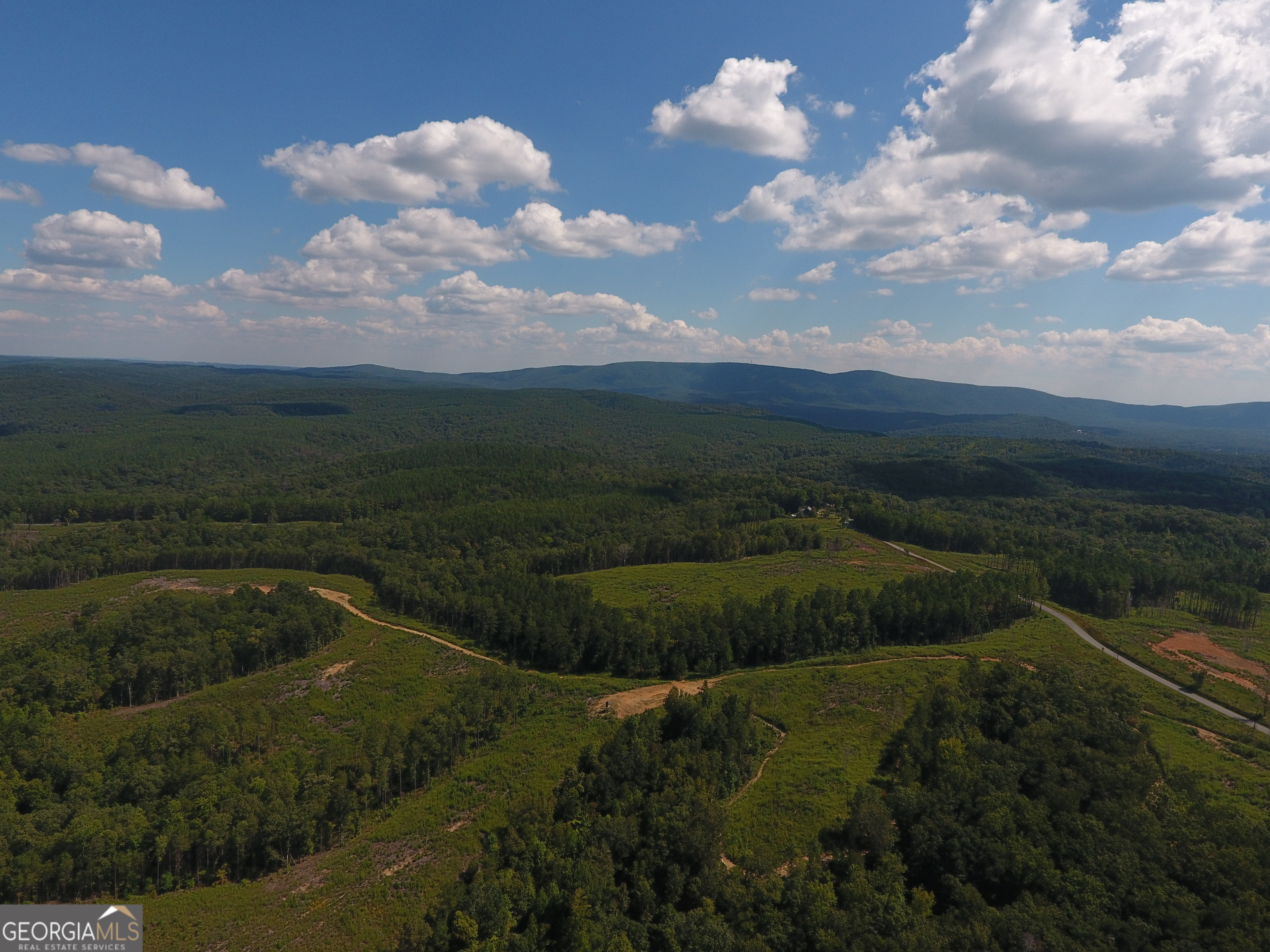 0 Johnson Mountain Road, Unit 7401I Fairmount, GA 30139 - Photo 63 of 76