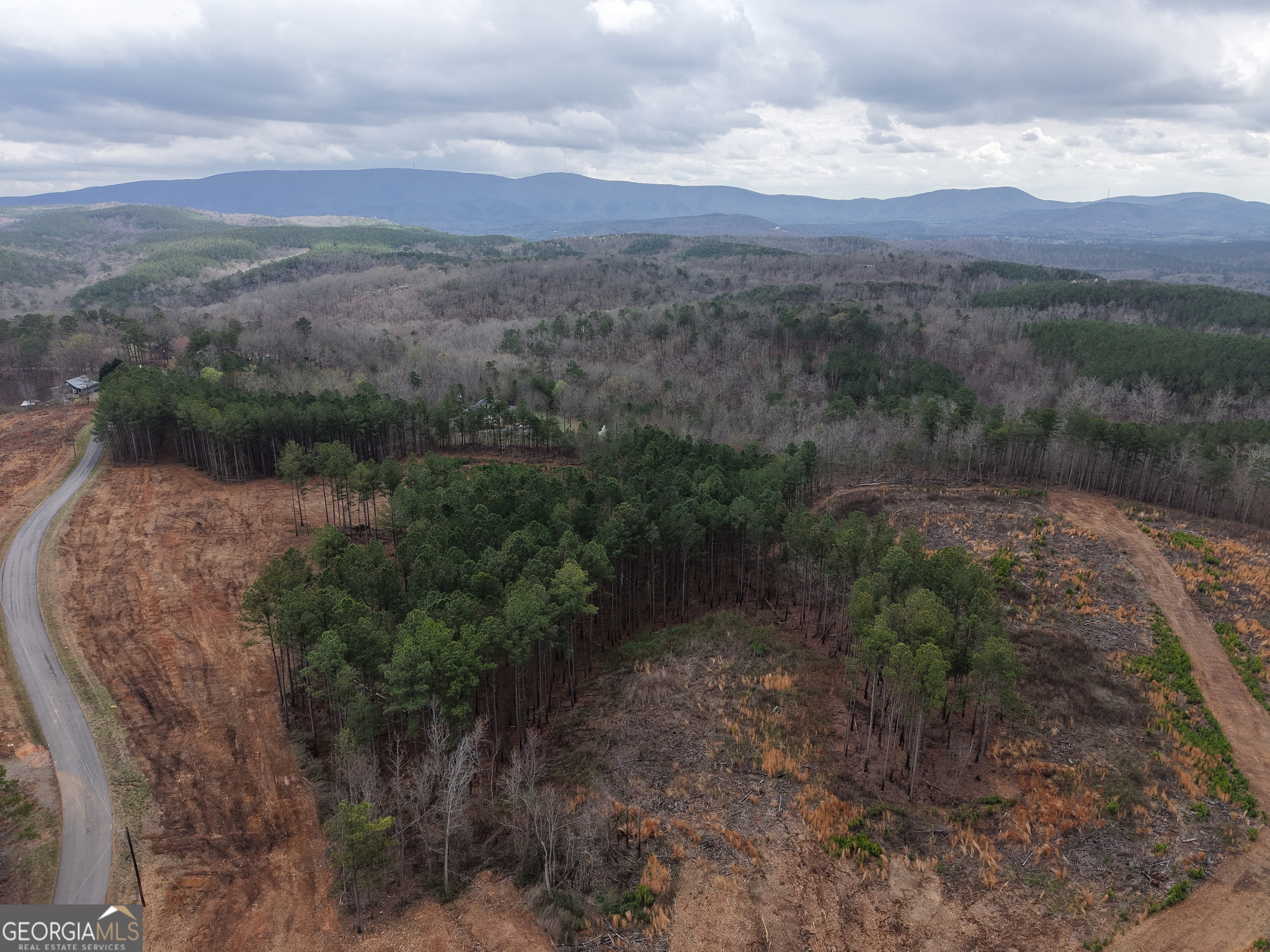 0 Johnson Mountain Road, Unit 7401I Fairmount, GA 30139 - Photo 68 of 76