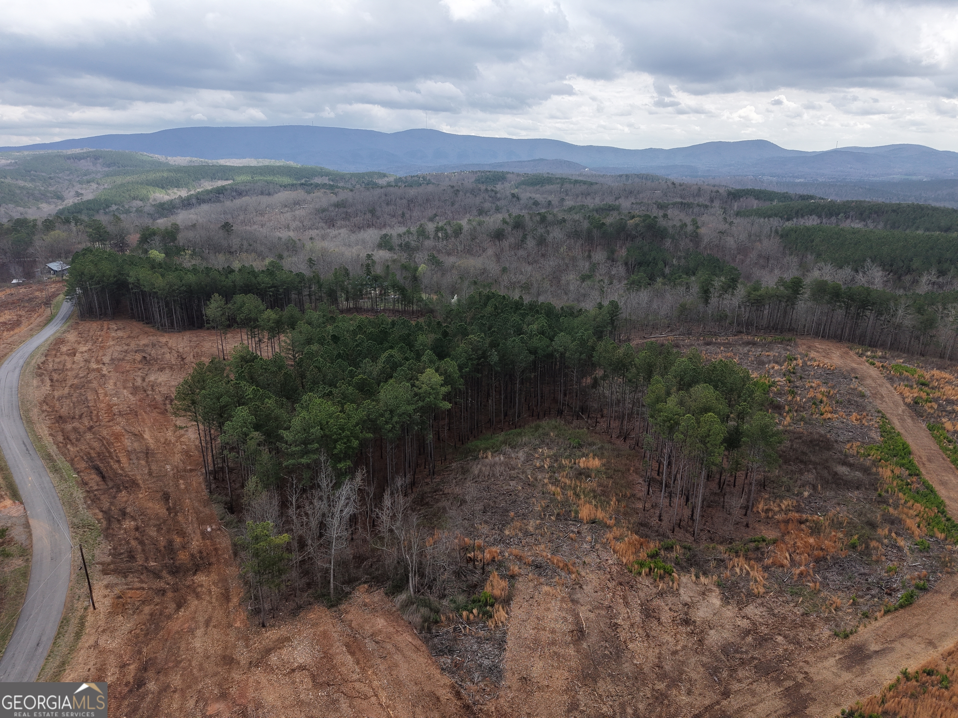 0 Johnson Mountain Road, Unit 7401I Fairmount, GA 30139 - Photo 70 of 76