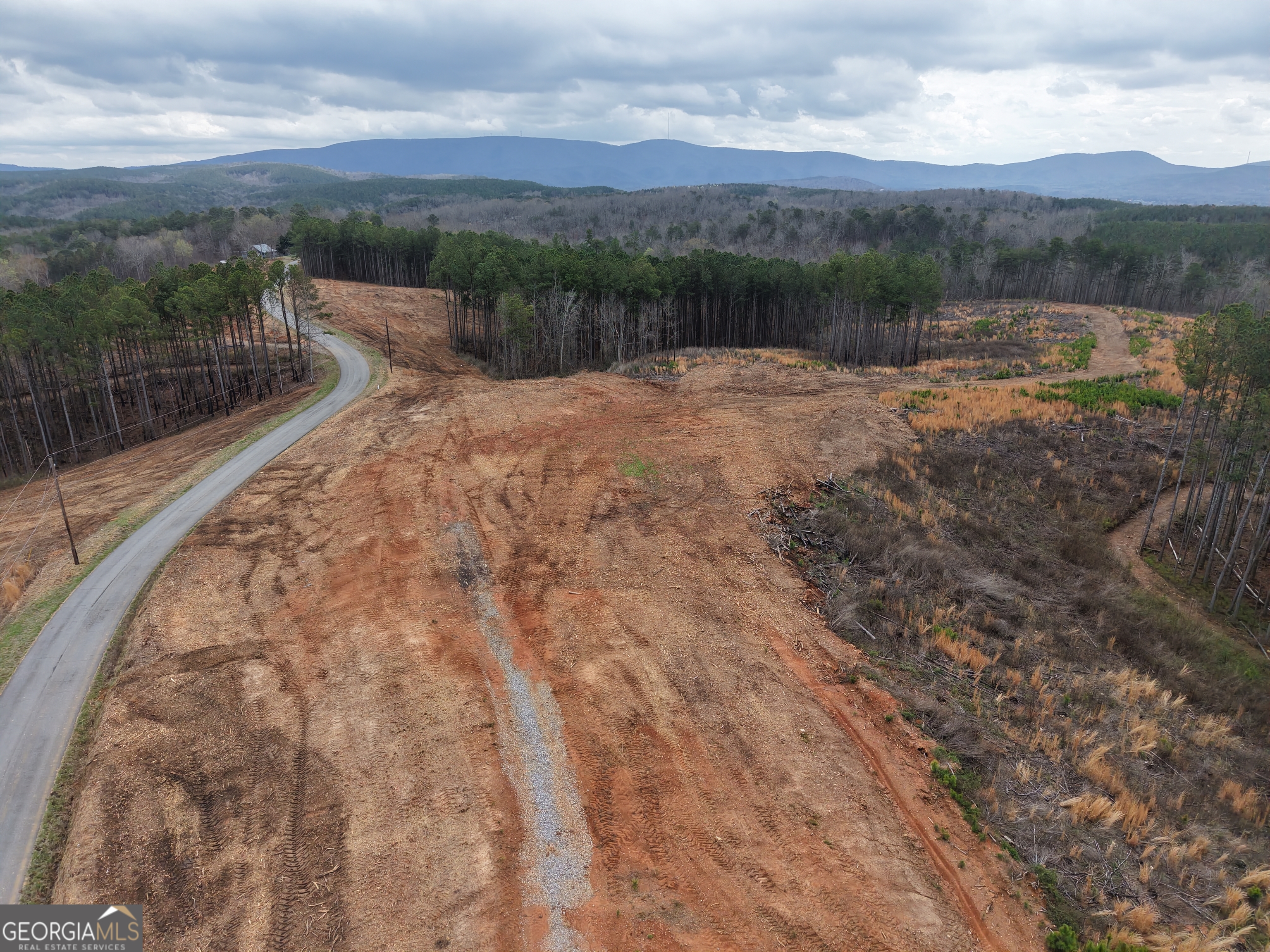 0 Johnson Mountain Road, Unit 7401I Fairmount, GA 30139 - Photo 7 of 76 a view of lake with mountain