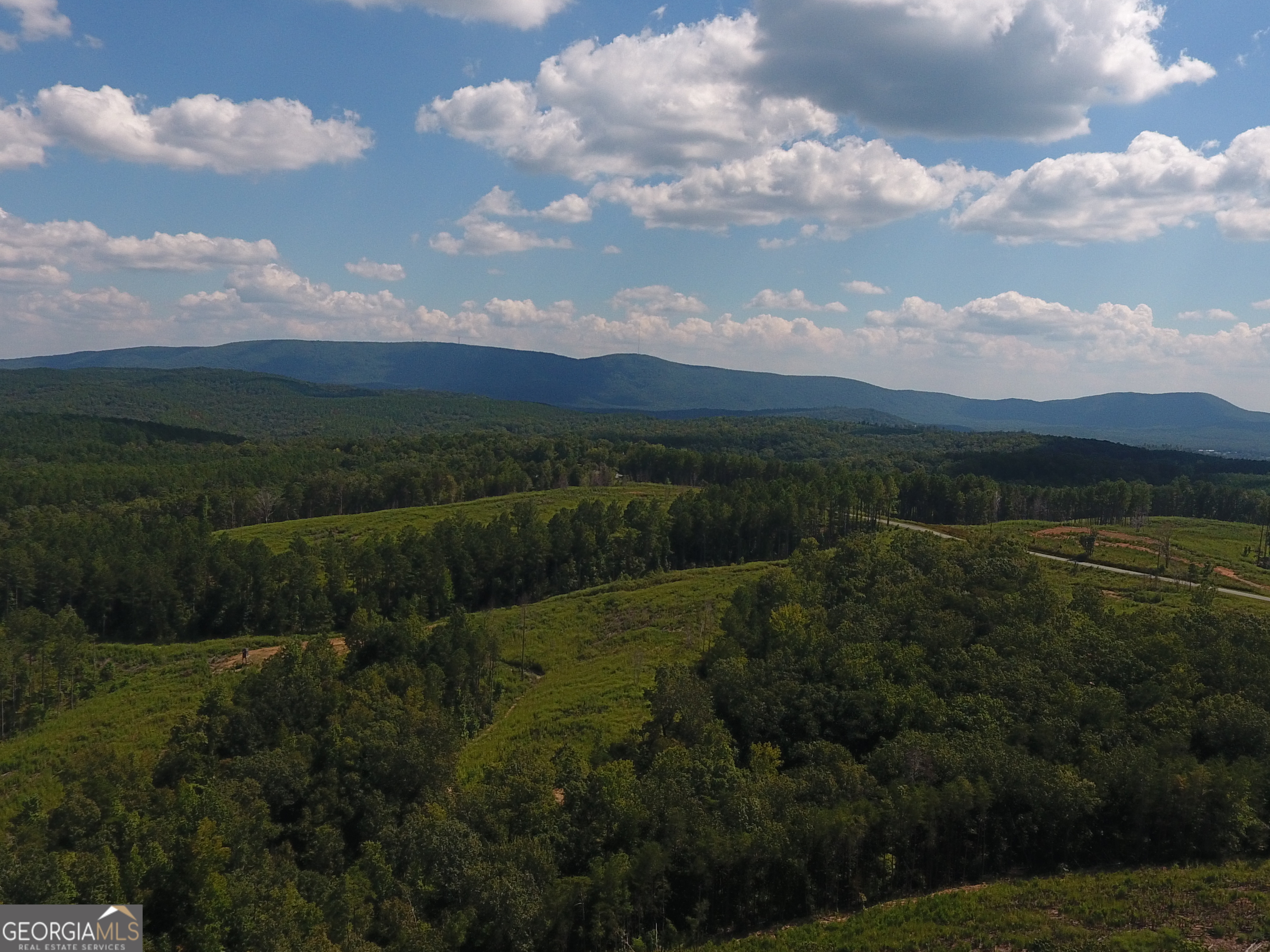 0 Johnson Mountain Road, Unit 7401I Fairmount, GA 30139 - Photo 71 of 76