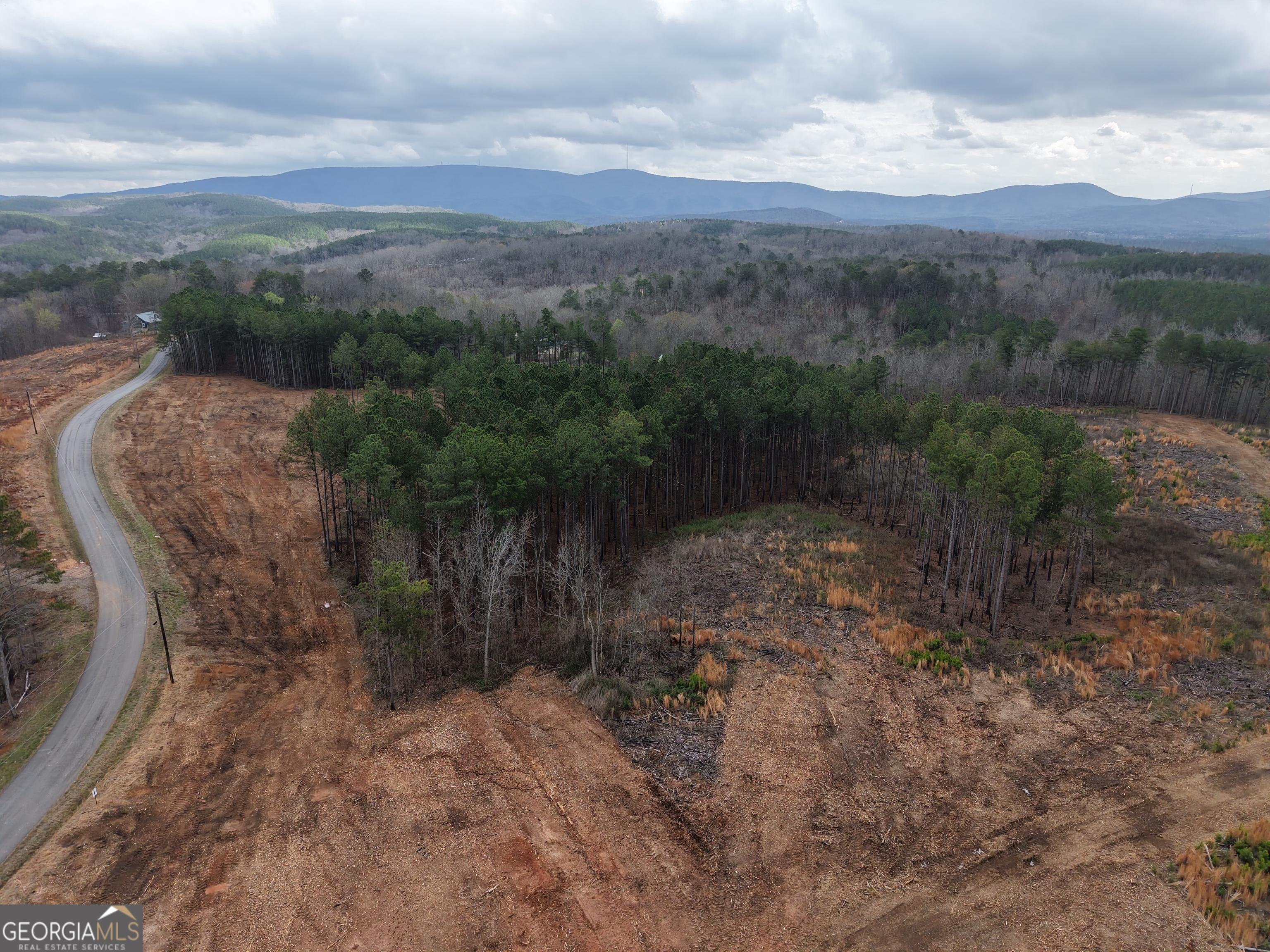 0 Johnson Mountain Road, Unit 7401I Fairmount, GA 30139 - Photo 72 of 76