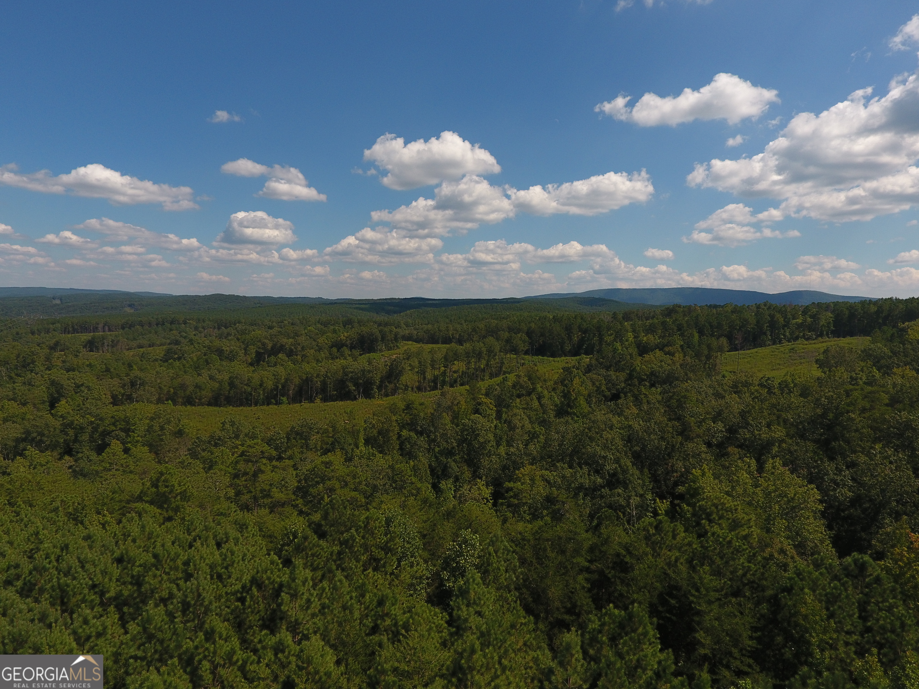 0 Johnson Mountain Road, Unit 7401I Fairmount, GA 30139 - Photo 74 of 76