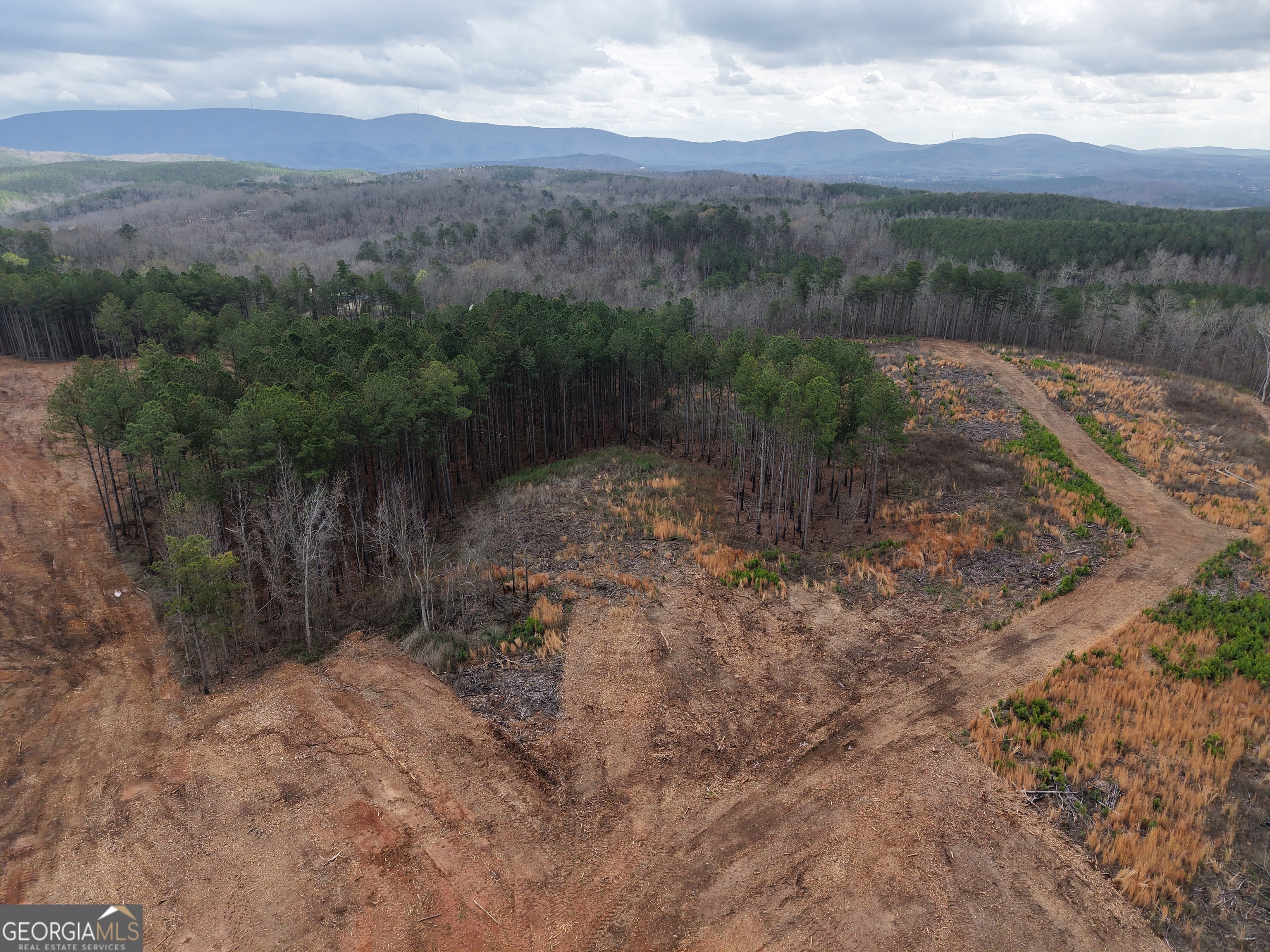 0 Johnson Mountain Road, Unit 7401I Fairmount, GA 30139 - Photo 75 of 76 a view of a yard with a mountain