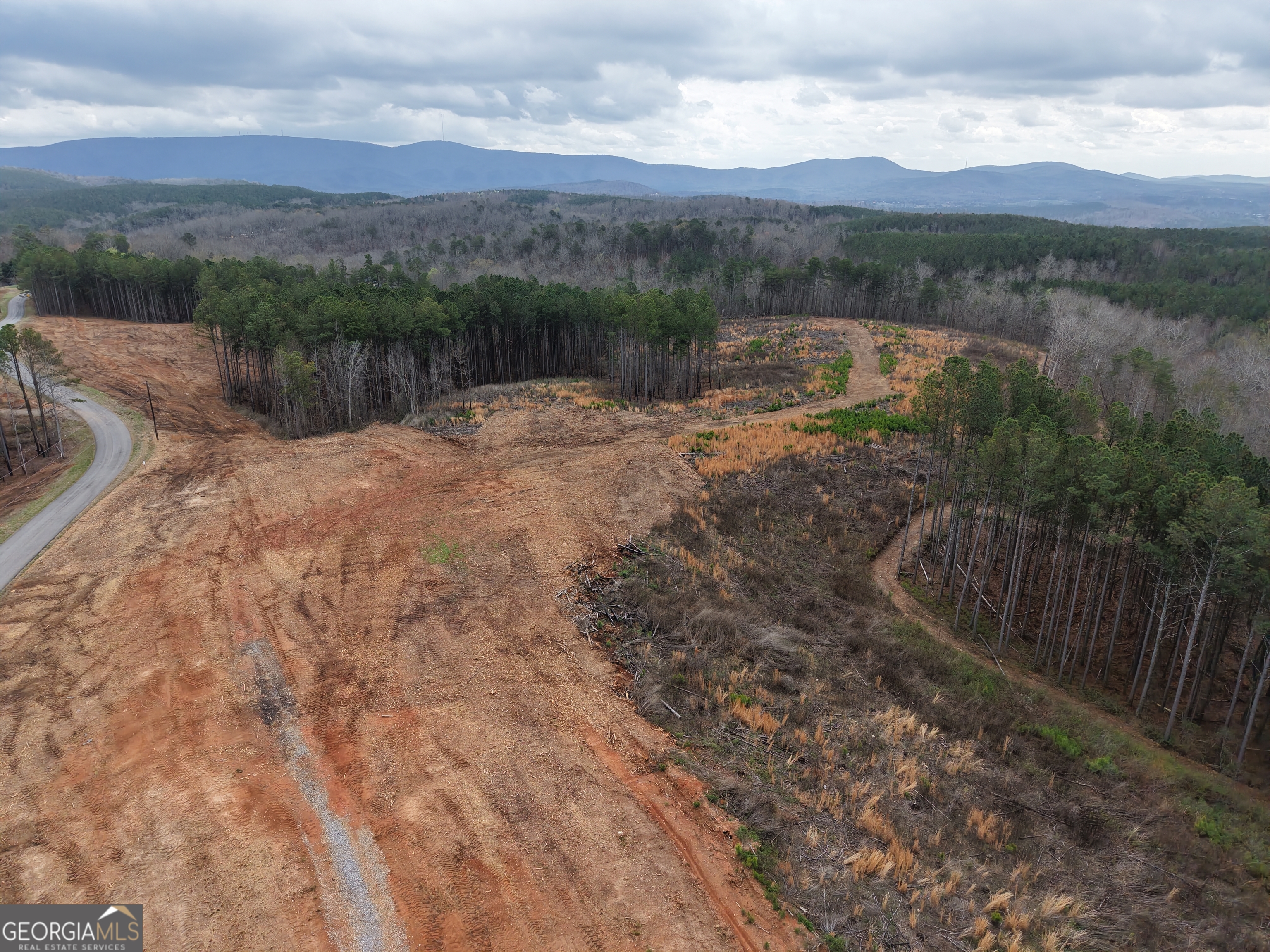0 Johnson Mountain Road, Unit 7401I Fairmount, GA 30139 - Photo 10 of 76 a view of lake with mountain