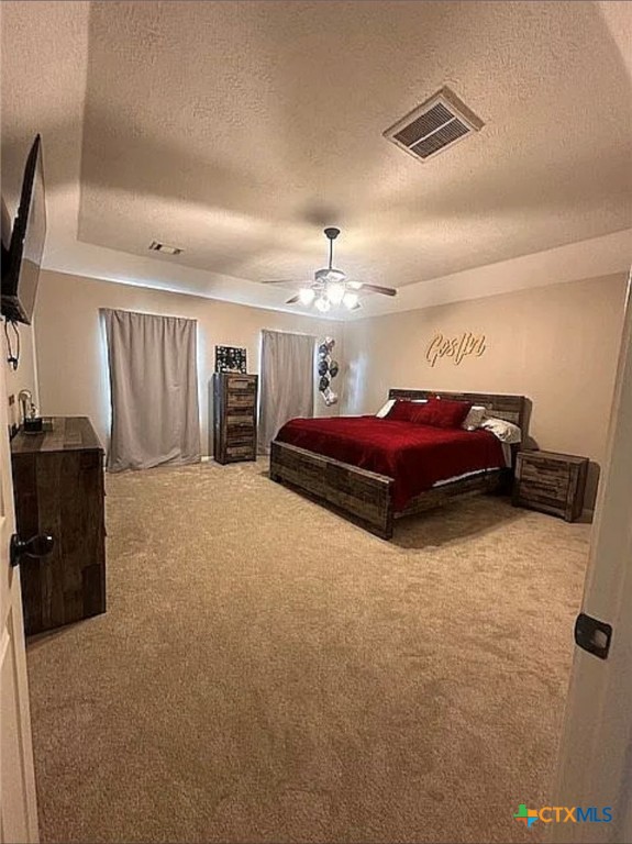 809 Buttercup Drive Edna, TX 77957 - Photo 15 of 16 a bed room with a bed and a television