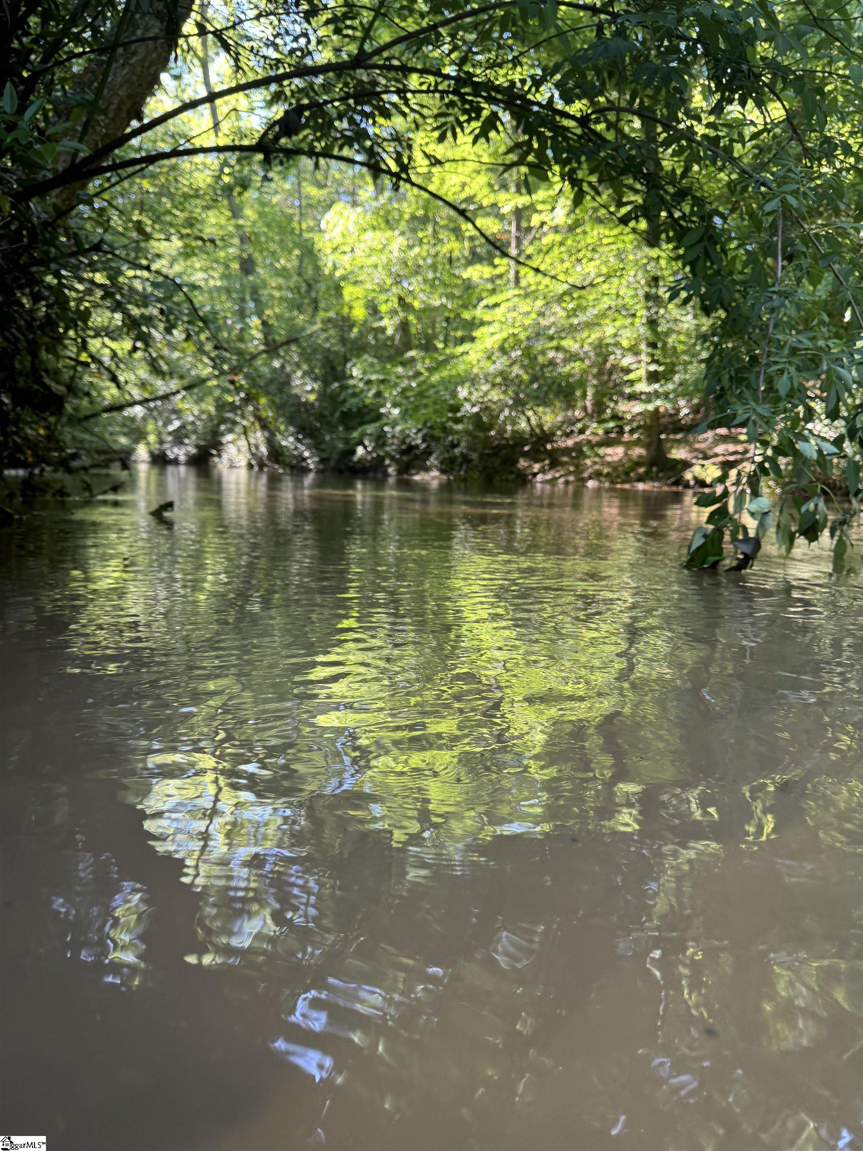 2811 Saluda Dam Road Easley, SC 29640 - Photo 2 of 33