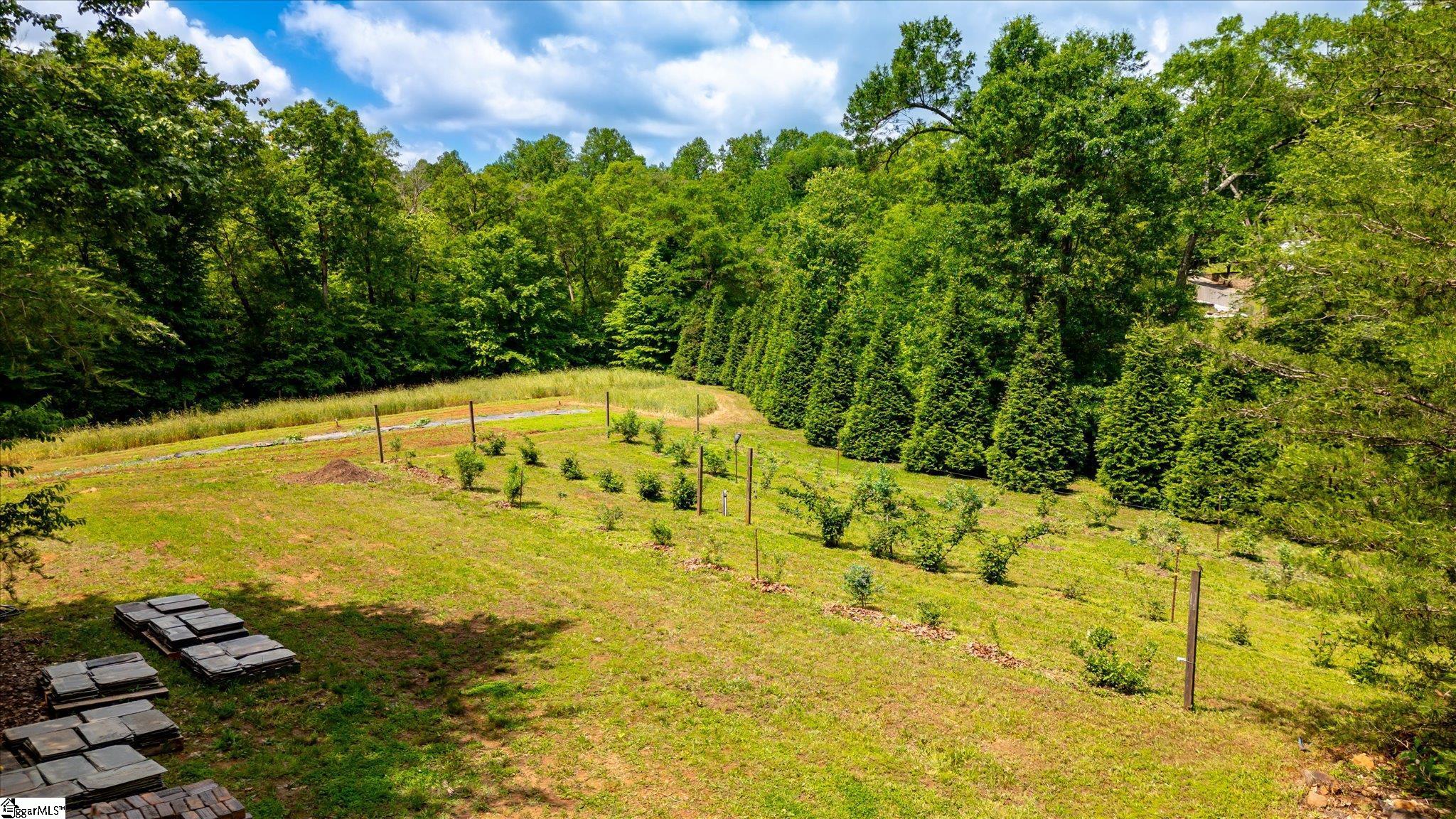 2811 Saluda Dam Road Easley, SC 29640 - Photo 30 of 33