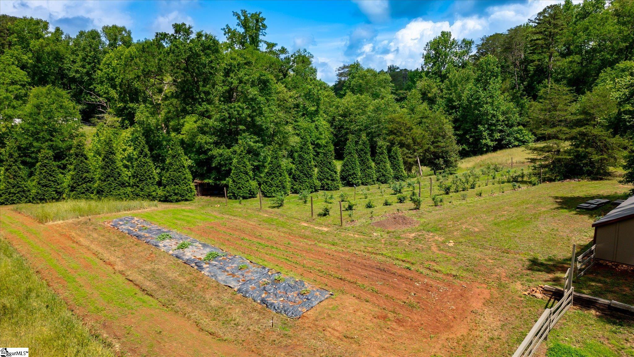 2811 Saluda Dam Road Easley, SC 29640 - Photo 31 of 33