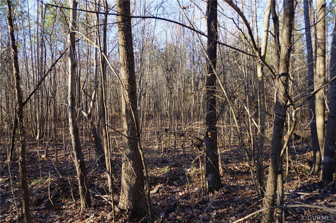 Xx Old Nottoway Road Blackstone, VA 23824 - Photo 4 of 9 a view of a backyard of the house