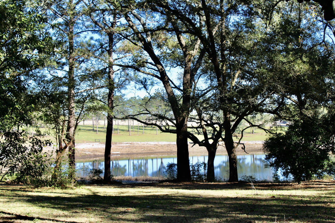 103 Pretty Pond Lane DeFuniak Springs, FL 32433 - Photo 4 of 45 queit & peaceful