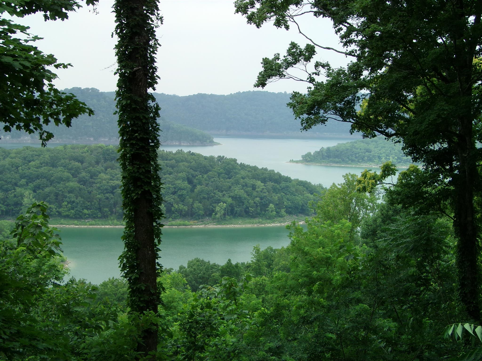 29 Davidson Road Morrison, TN 37357 - Photo 2 of 4 Gallery Image 2