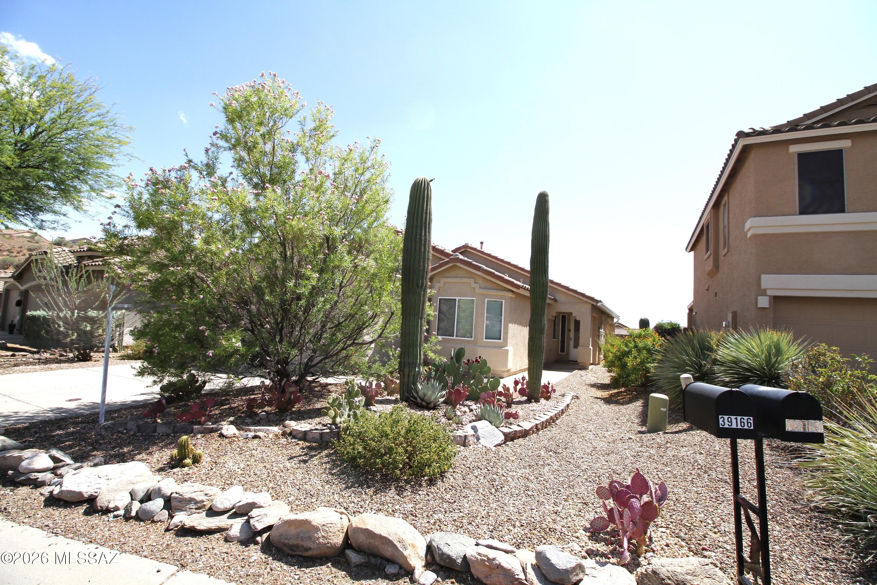 39166 Rodeo Buckle Drive Tucson, AZ 85739 - Photo 1 of 26 IMG_0672