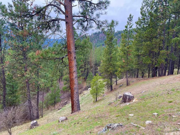 $214,000 | Tbd Tbd White Pine Garden Valley, Garden Valley, ID 83622