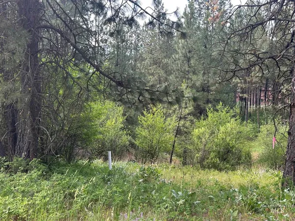 $214,000 | Tbd Tbd White Pine Garden Valley, Garden Valley, ID 83622