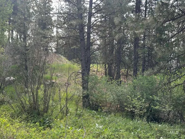$214,000 | Tbd Tbd White Pine Garden Valley, Garden Valley, ID 83622